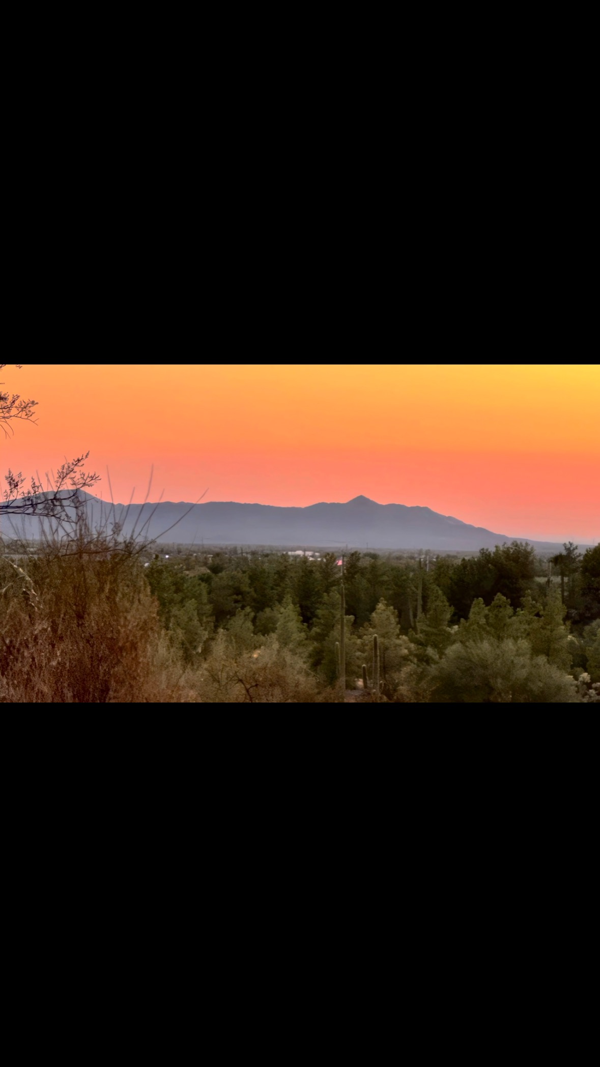 Song for American Indian flute I wrote called “Whispers of the Dying Light.” Enjoy :)
Available on Spotify and Apple Music.
My flute was made by @ikaros_flutes …Pavlos’ craftsmanship is amazing
#americanmusic #stavrosfirst #cinematicmusic #desertphotography #fyp