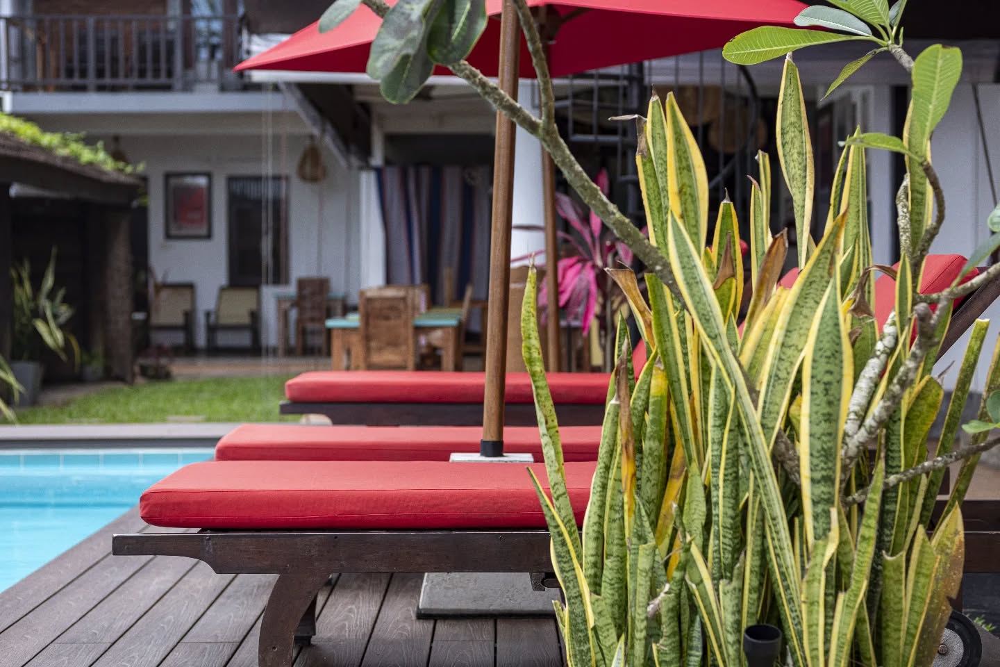 Find your perfect spot in the sun - right here at Lion's Rest.
📸 @sangeeth.photography_
#lionsrestlife #lionsrest #gurubebila #weligama #srilankatravel #ahangama