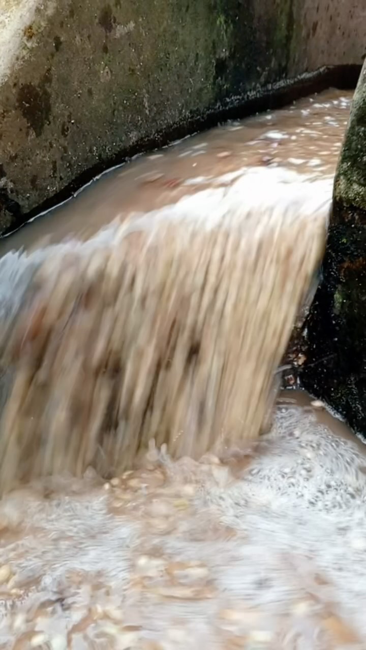 Write us at the contact link in our profile to be in touch about our 2025 coffees that bring people out of poverty. 🔗
#greencoffee #specialtycoffee #nicaragua #naturalprocess #swisswater #thirdwavecoffee #anaerobiccoffee #pacamara #worldofcoffee #directtrade #directtradecoffee #wocdubai #coffeeprocessing #sustainablecoffee #dubaicoffee #coffeeroaster #coffeesorting #coffeeroasting #coffeefarm #coffeewashing #goldmtncoffee #coffeefarmers #coffeefermentation #carbonicmacerationcoffee #nicaraguancoffee #wocdubai2025 #dubaispecialtycoffee #microlotcoffee #kuwaitspecialtycoffee #dubaicoffeeroasters