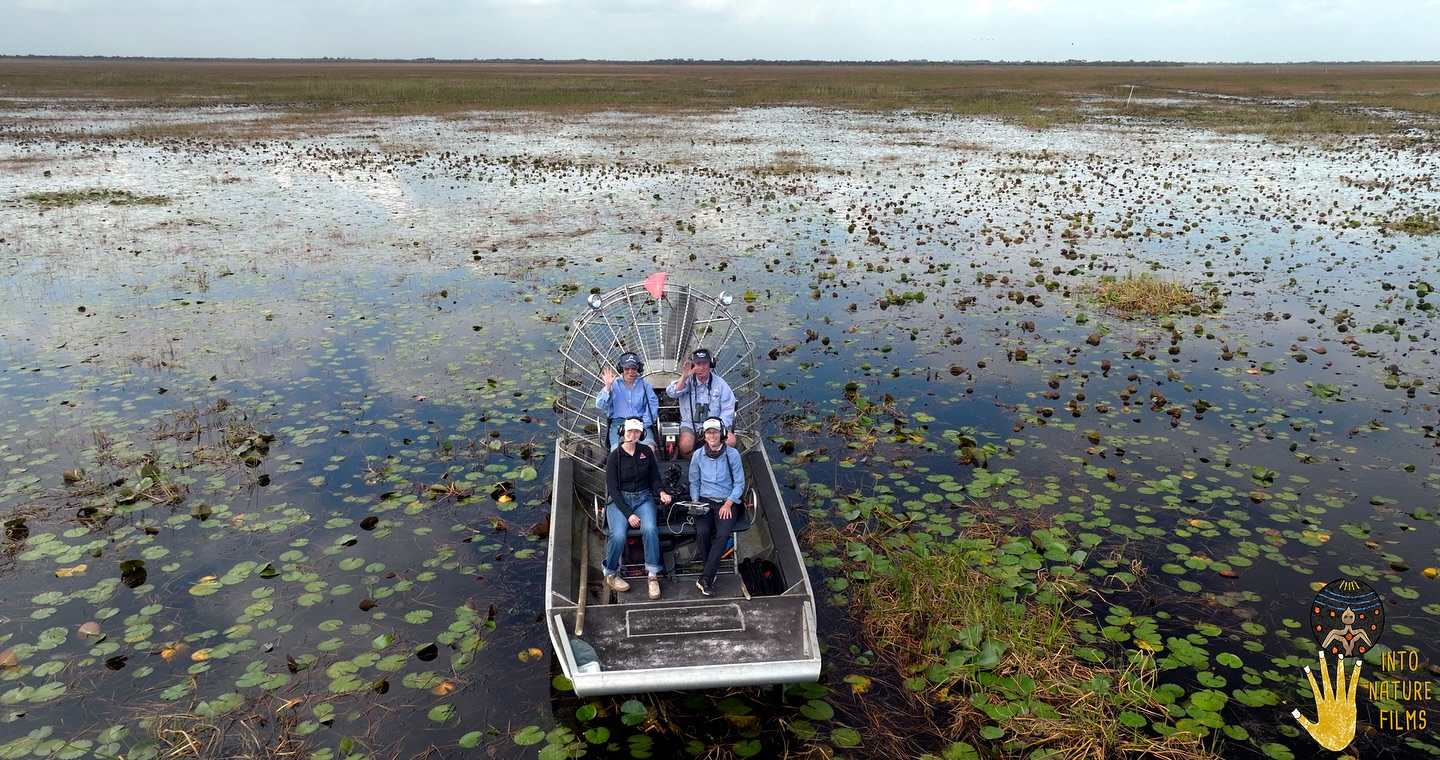 Into Nature went out into Lake Okeechobee with Dr. Paul Gray from Audubon Florida for our new film ‘Where the Water Runs’ produced for Archbold Biological Station. Our film reveals how ranchers and scientists are working together to improve water quality while supporting the future of ranching in the Headwaters of the Everglades. Clean water, productive ranches, land stewardship, healthy watersheds...we are all in this together. @archboldstation @audubon_fl