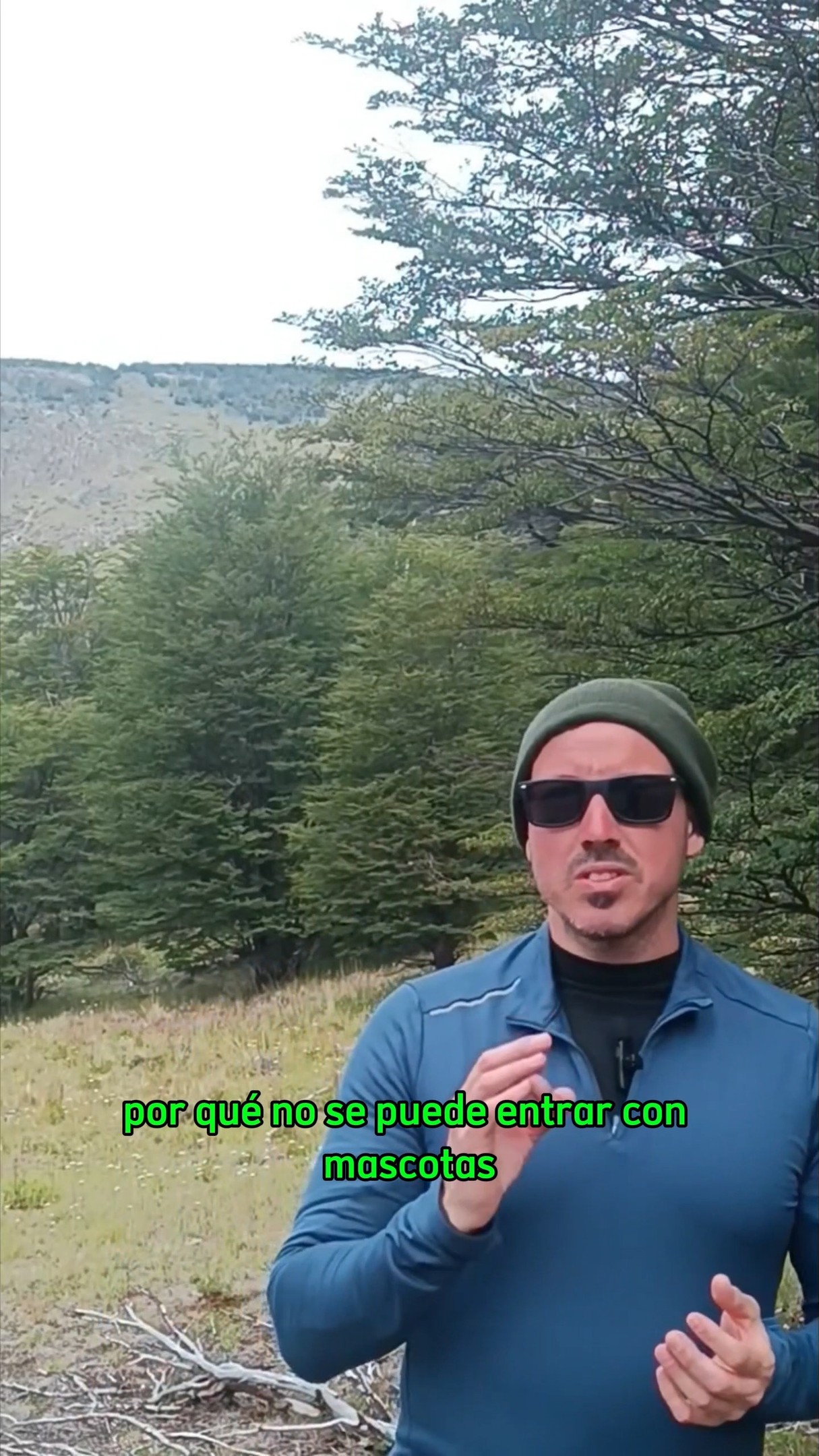 Tené en cuenta esto si viajás con Mascotas por Argentina. No es un dato menor! #parquesnacionales #viajar #argentina #norte #norteargentino #surargentino #patagonia #buenosaires #viajesconmascotas #viajarconmascotas #chalten #usuahia #bariloche #jujuy #rosario #salta #mendoza #sanjuan #cordoba #entrerios #tucuman #catamarca #chubut #peninsulavaldes #puertomadryn #puertomadero