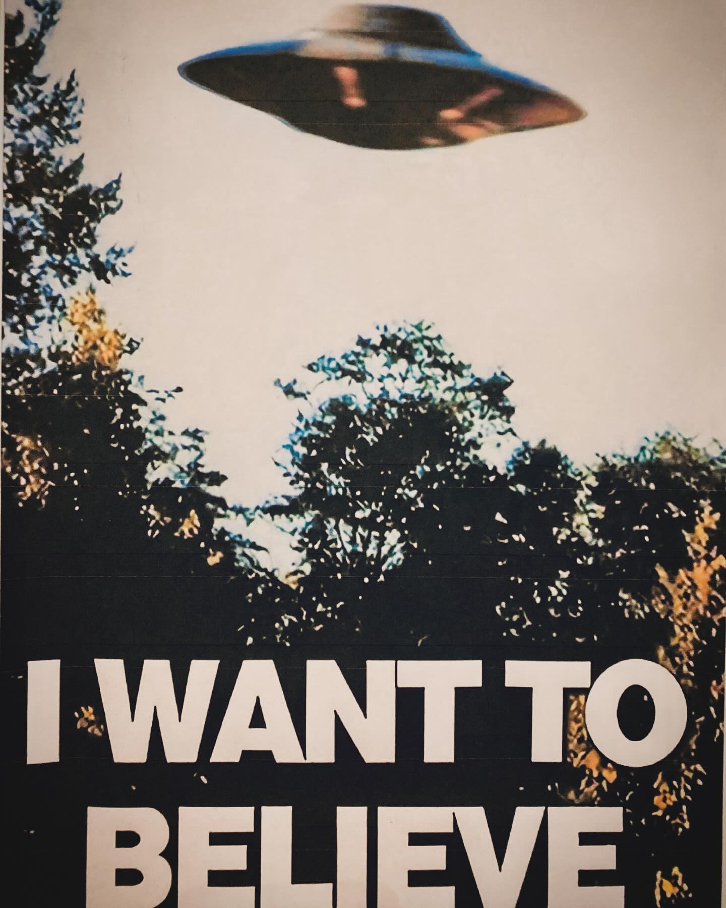 Yes! I want to believe that I am being abducted…to @dutchcreekwinery. On tonight’s episode of The Wine Files, Missing Wine Time.
We are located at 12157 State Route 690, Athens, Ohio 45701, just a quick 10 minute drive from uptown Athens.
Currently, we are open Fridays 5-9pm, Saturdays 12-8pm, and Sundays 12-6pm!
And as always, if you choose to drink, please drink responsibly.
.
#ohiocider #ohiobrewweek #ouohyeah #614drinks #OhioFindItHere #amesvilleohio #ohiowineries #mead #cbusfoodscene #614eats #columbus #ohiouniversity #columbusfoodie #athensohio #hardcider #honeywine #columbuseats #windy9 #athenscountyohio #visitathensohio #ohiowine #eatdrinkohio #ohiofoodie #Hockinghills #pizzaandbeer #614now #dutchcreekwinery #DCW #visitathenscountyohio