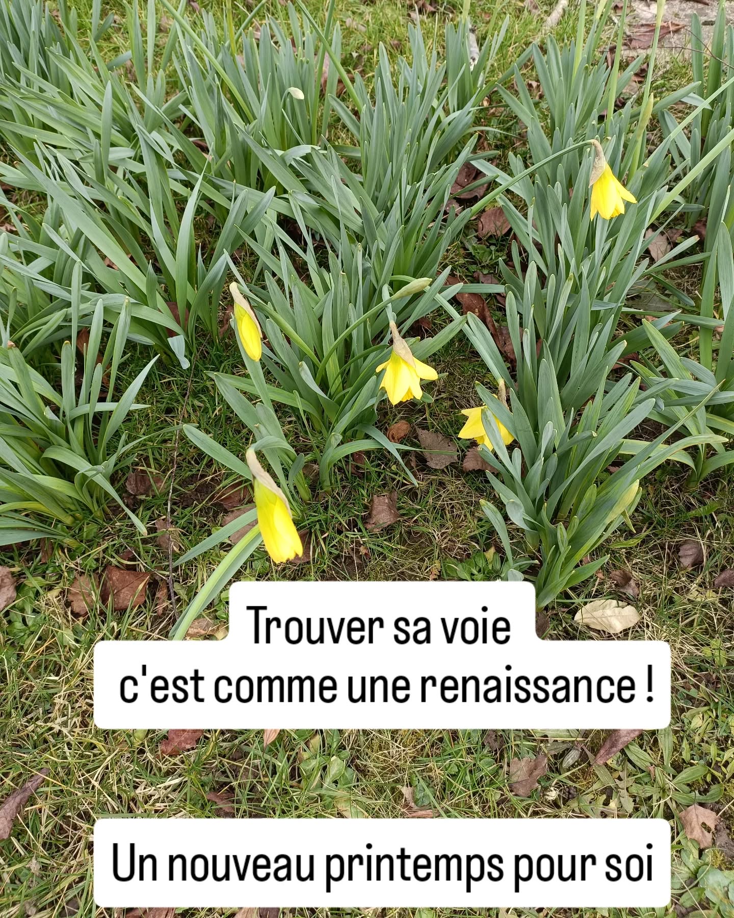 SE CONNAÎTRE POUR MIEUX S'ORIENTER !
👍C'est le fruit d'un Coaching en orientation
✨ C'est une nouvelle naissance, savoir QUI ON EST!
🤔 Les questions que nous avions ont désormais des RÉPONSES !
🎯 Et le calme revient car nous savons Ou nous diriger!
#terminale #terminales #orientationscolaire #onisep #lycee #icf #coaching #valeriemandronorientation #yvelines