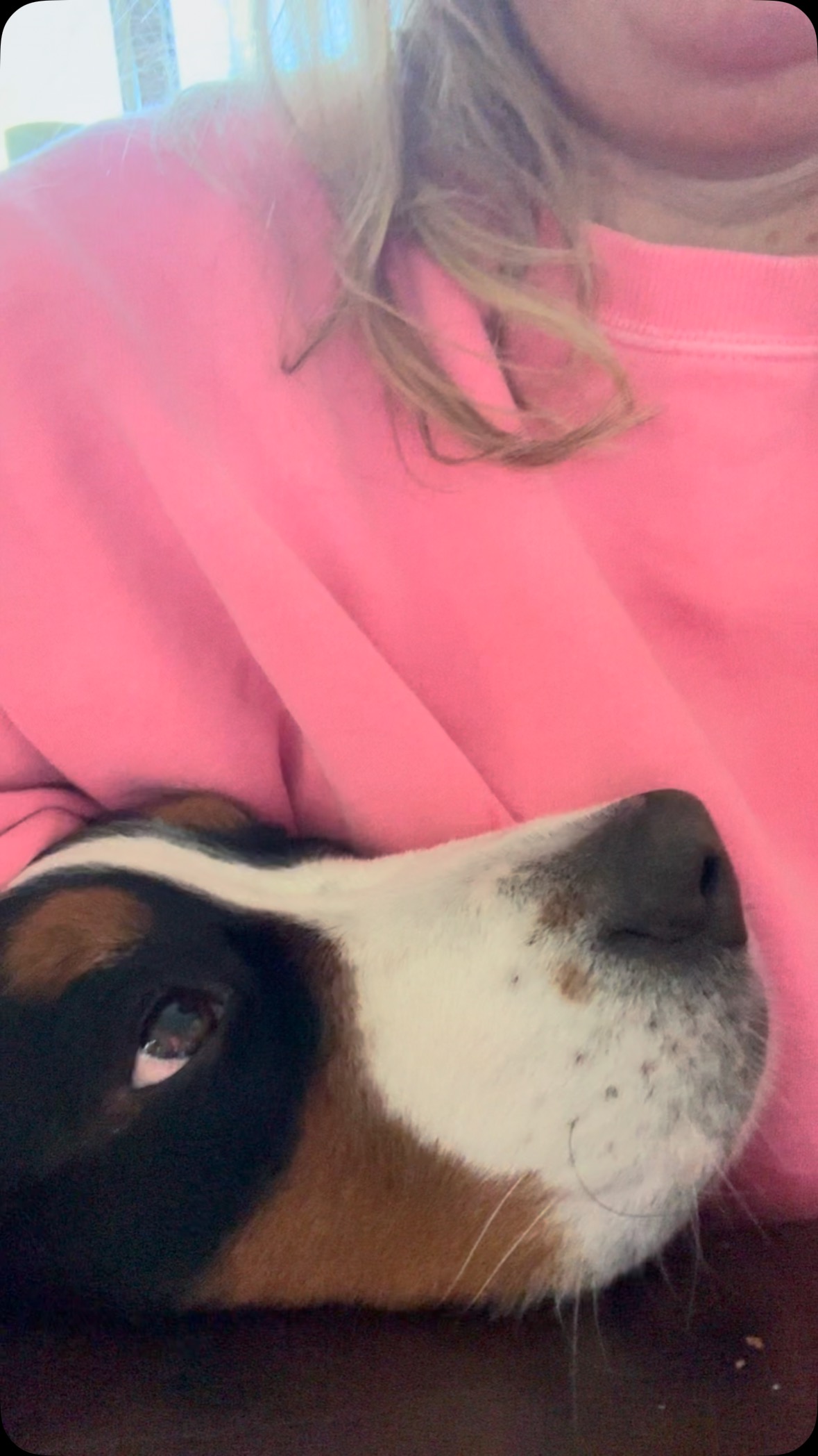 Breakfast with friends. lol #dogwalking #dogsofinstagram #dogwalker #doglover #dogstagram #petsitting #dogwalk #dogoftheday #doglovers #doglife #petsitter #instadog #doggydaycare #dogwalkerlife #fyp #dogwalkersofinstagram #dogboarding #dogwalkers #longislanddogs #dogsoflongisland #huntingtonny #greenlawnny #lidogs #thedogist #HGLfamily #petsittingservices
#thedogsoflongisland #longislanddogsofinstagram