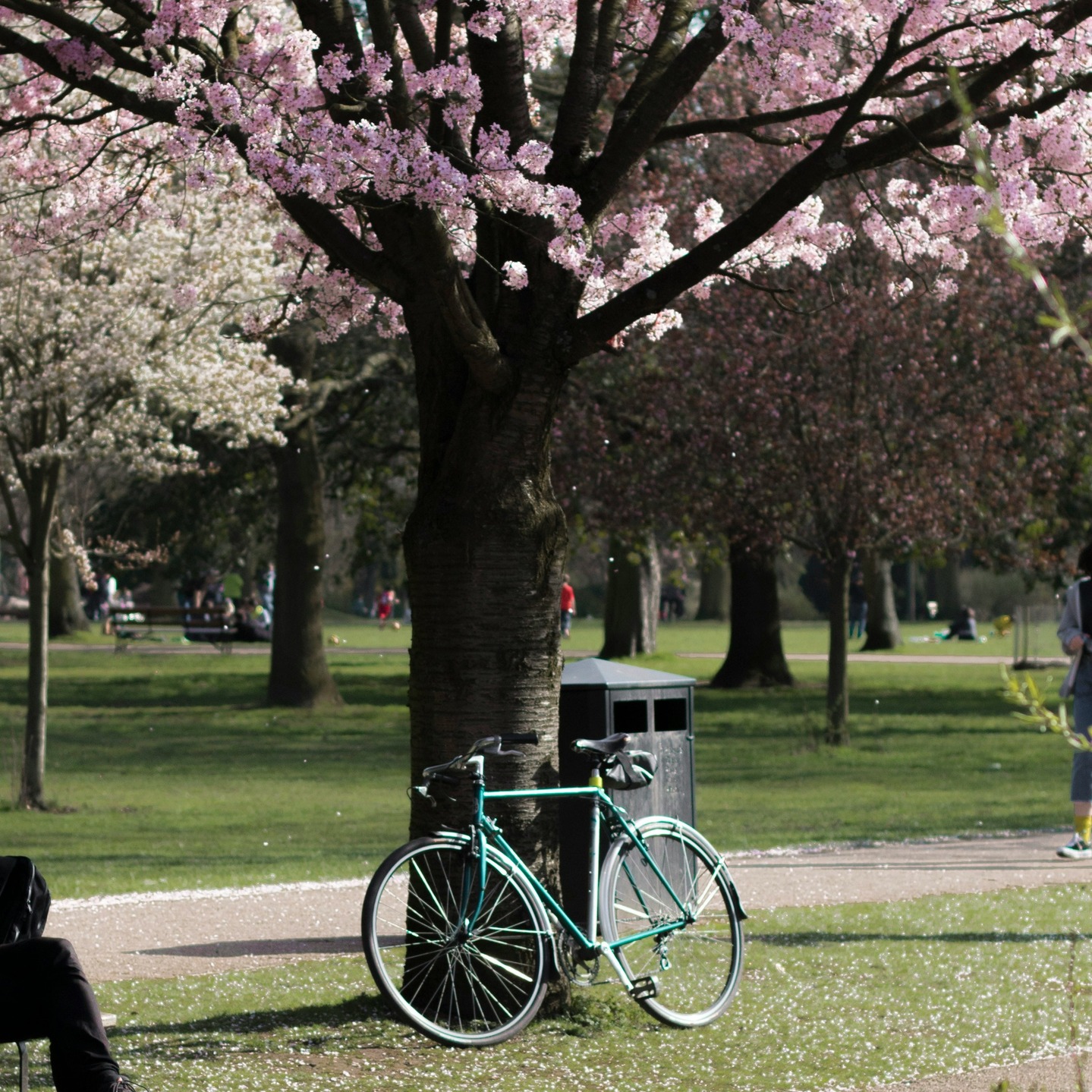 Do you prefer to cycle for business rather than drive? If so, you can claim up to 20p per mile back on your taxes 🚲🙌
#bike #taxes #taxrelief #businessowner #taxtips #cycle #cycletowork
