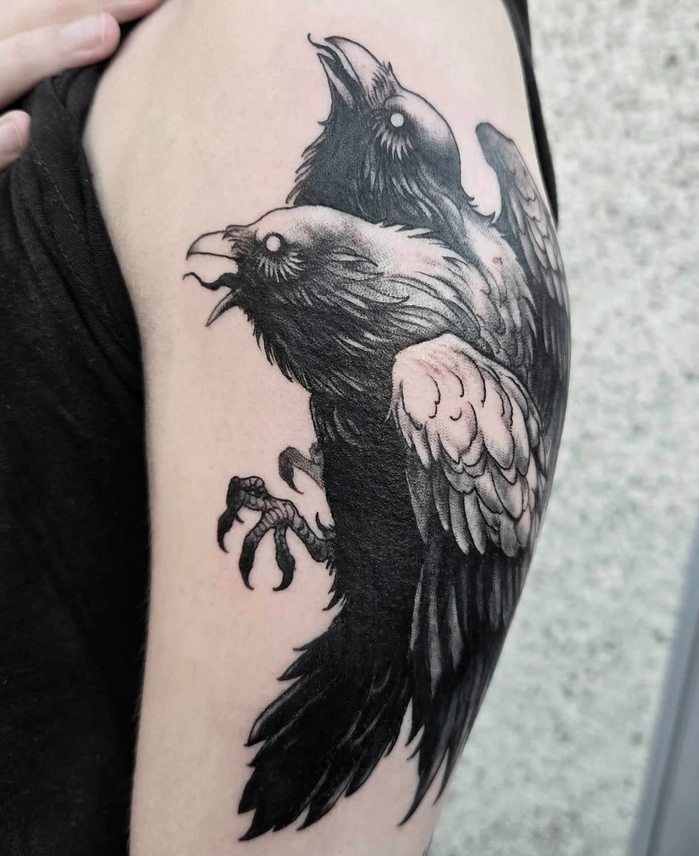 2 heads are better than 1! Done by @heathen_tattooer - he has a handful of openings left for March and booking April, send him a DM to get scheduled!
#crow #crowtattoo #bird #birdtattoo #darkart #darkartist #tattoos #seattle #everett #marysville #pnw #cascades #cascadia #bellingham #skagitvalley #mountainloophighway #pugetsound #seattletattooartist #seattletattooshop #pnwartist #metal #corvid #heathen