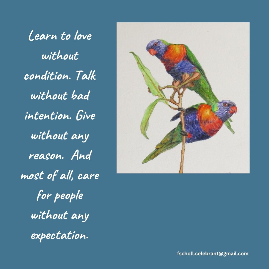 #celebrant #beachwedding #90milebeach #victoriaaustralia #wedding #marriagerequirement #weddinginfo #weddinginspiration #outdoorwedding #outdoorceremony #wellingtonshire #seaspray #salevictoria #themiddleofeverywhere