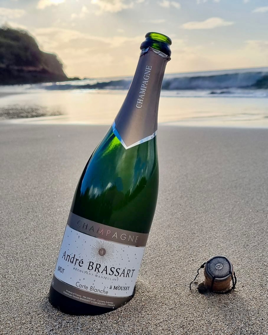 Notre Carte Blanche sous le beau soleil de Guadeloupe ☀️🍾
Retrouvez cette cuvée ainsi que nos 4 autres cuvées à Moussy, ou sur notre site internet www.champagnebrassart.com 🍾🥂
#champagne #vacances #champagnebrassart #blancdeblancs #carteblanche #chardonnay #champagneblancdeblancs
