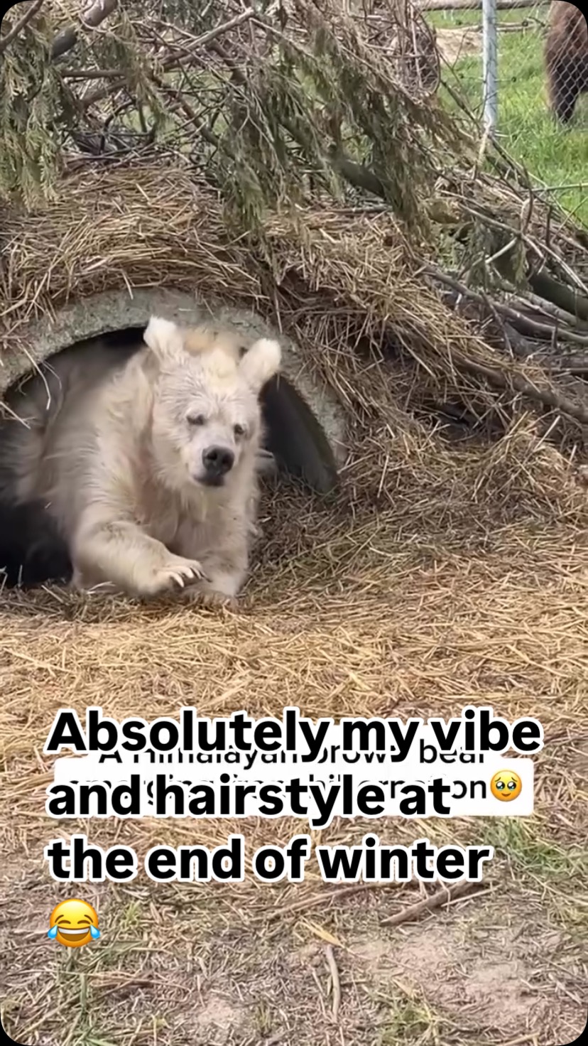 Es wird Frühling 🧡