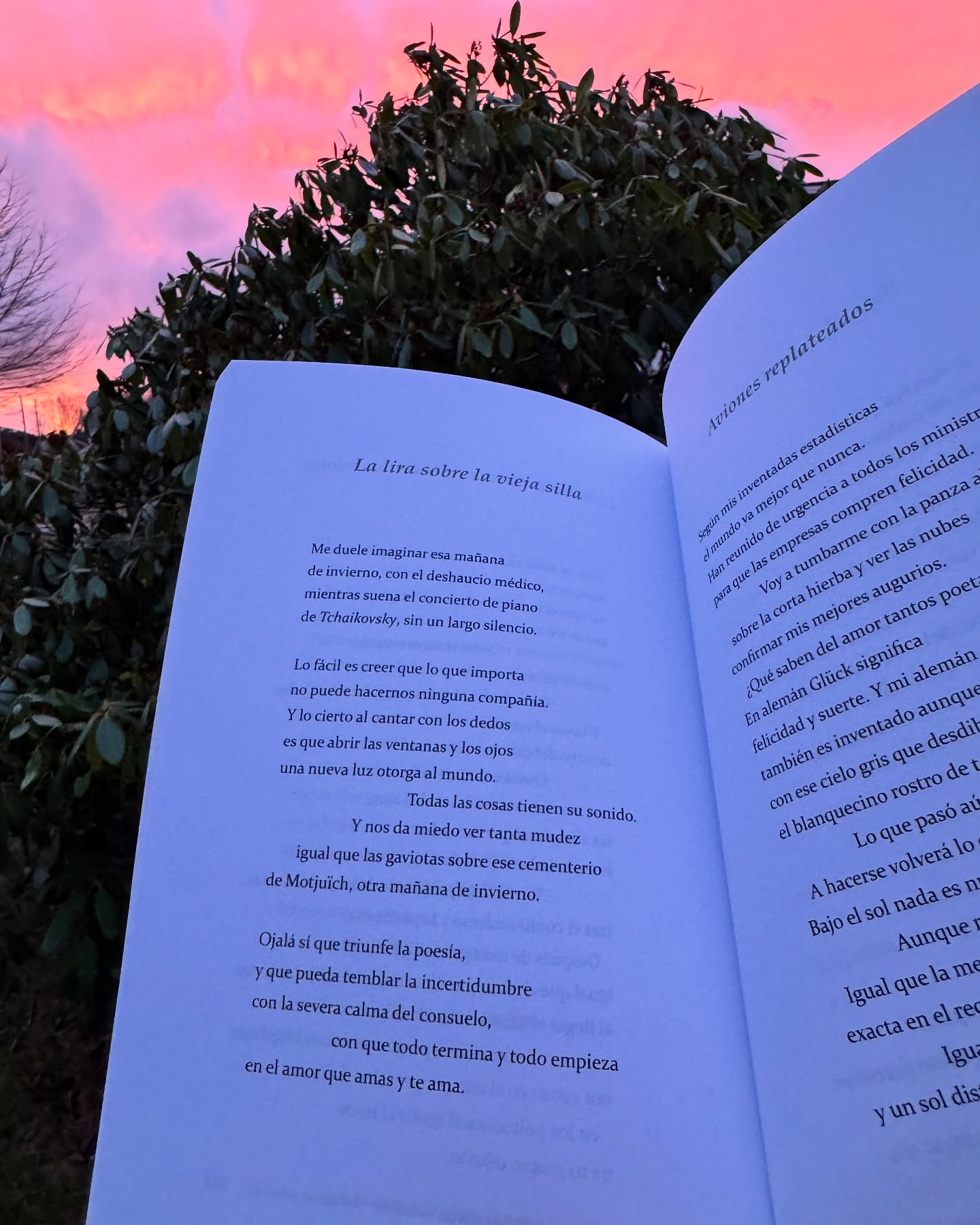 #poema de @ruben_garcia_cebollero de su más reciente libro 𝘓𝘢 𝘳𝘢𝘻ó𝘯 𝘱𝘦𝘳𝘥𝘪𝘥𝘢.
Este poemario responde a dos preguntas ¿podemos los poetas escribir sobre el amor? ¿Y cómo?
"Y el amor nunca acaba, siempre vuelve a empezar" 𝑹𝒖𝒃𝒆́𝒏 𝑮𝒂𝒓𝒄𝒊́𝒂 𝑪𝒆𝒃𝒐𝒍𝒍𝒆𝒓𝒐
Recomendamos su libro ampliamente.