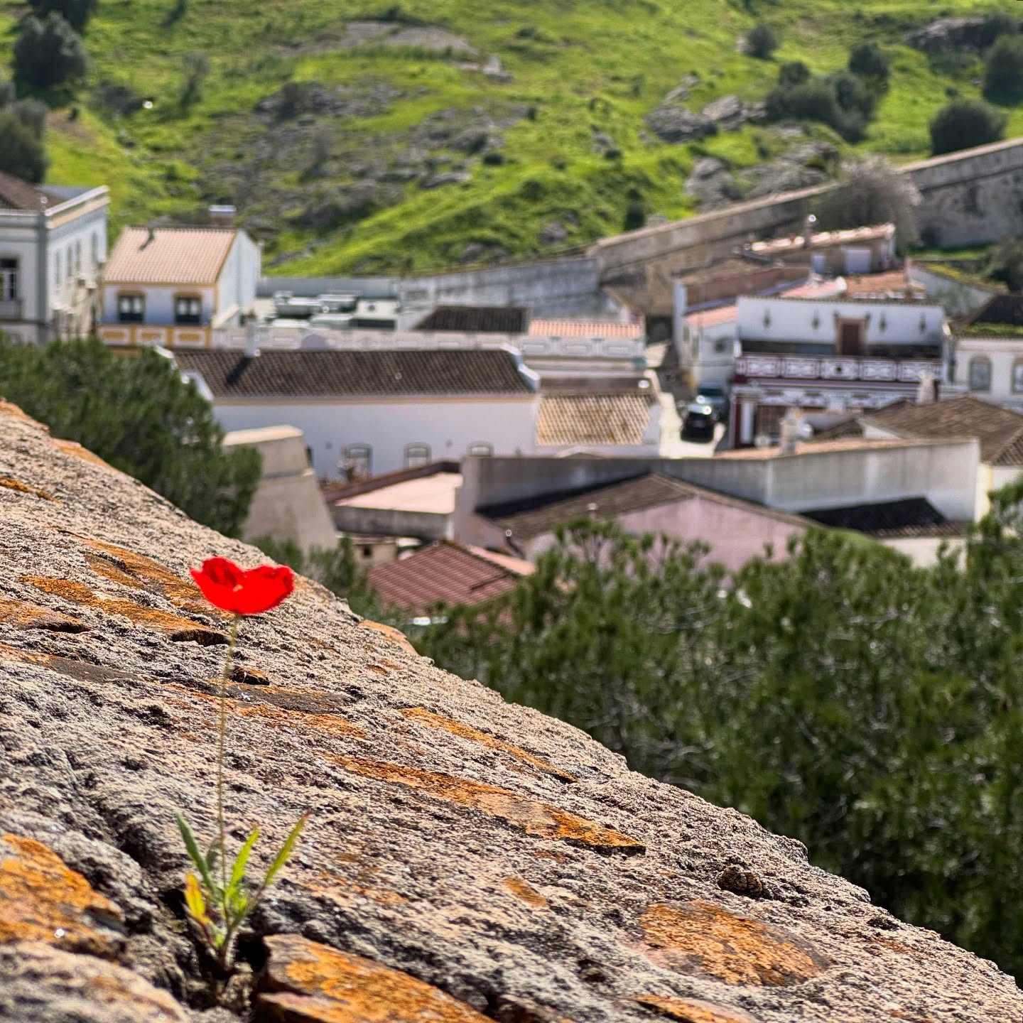 Life Is,
Because it can.