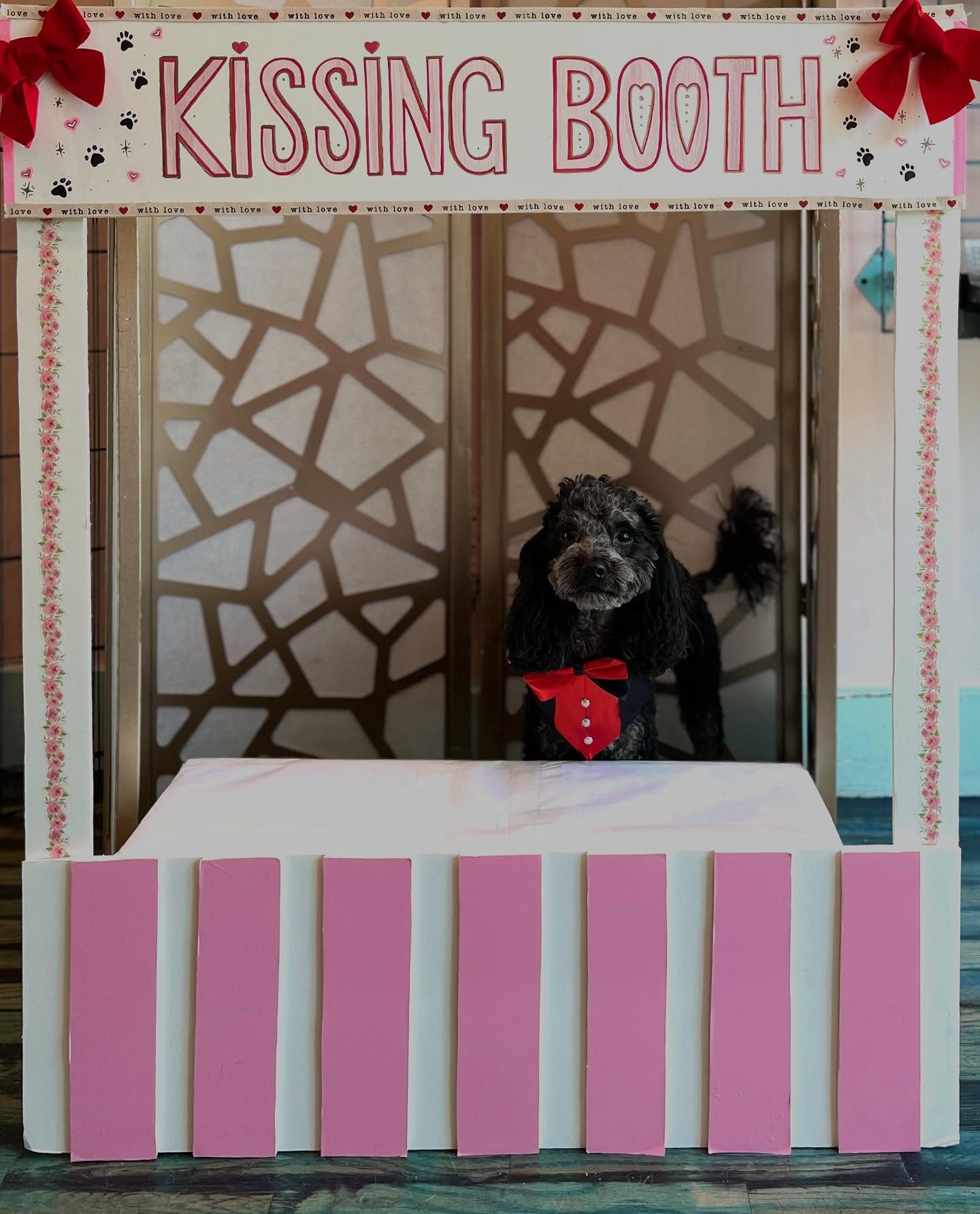 The pups had a great Valentine’s Day, full of love and kisses!