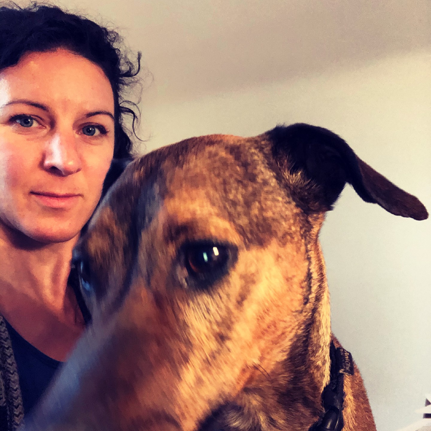 🐾 Happy National Love Your Pet Day! This is Felix, my very forgivable rogue, generally up to no good, but my goodness, he was an uncanny way of making you feel like #1 when you walk in the room. Consistently, uses all he has to communicate using his finely tuned non verbal body language and their is no such thing as under appreciation in his world. Bigger, better! His DISC profile is ID- outgoing, persuasive, energetic, and action-oriented, often described as a charismatic leader (obvs. not always for good) who enjoys influencing others while taking charge and driving results (extra treats, early dinner- for himself and Qtea, his mini schnauser pal). He brings deep joy to our lives, with his wicked sense of humor, charm - always ready to dance the day away with you. He's a leader and a team player and makes sure no one takes themseves too seriously. #TeamSuccess #LoveYourPetDay #InvestInYourTeam communication #leadership #love #communicationskills #motivation #publicspeaking #socialmedia #relationships #education #success #inspiration #coaching #training #mentalhealth #confidence #speech #relationshipgoals #empathy #boundaries #healthyboundaries #bodylanguage #intent