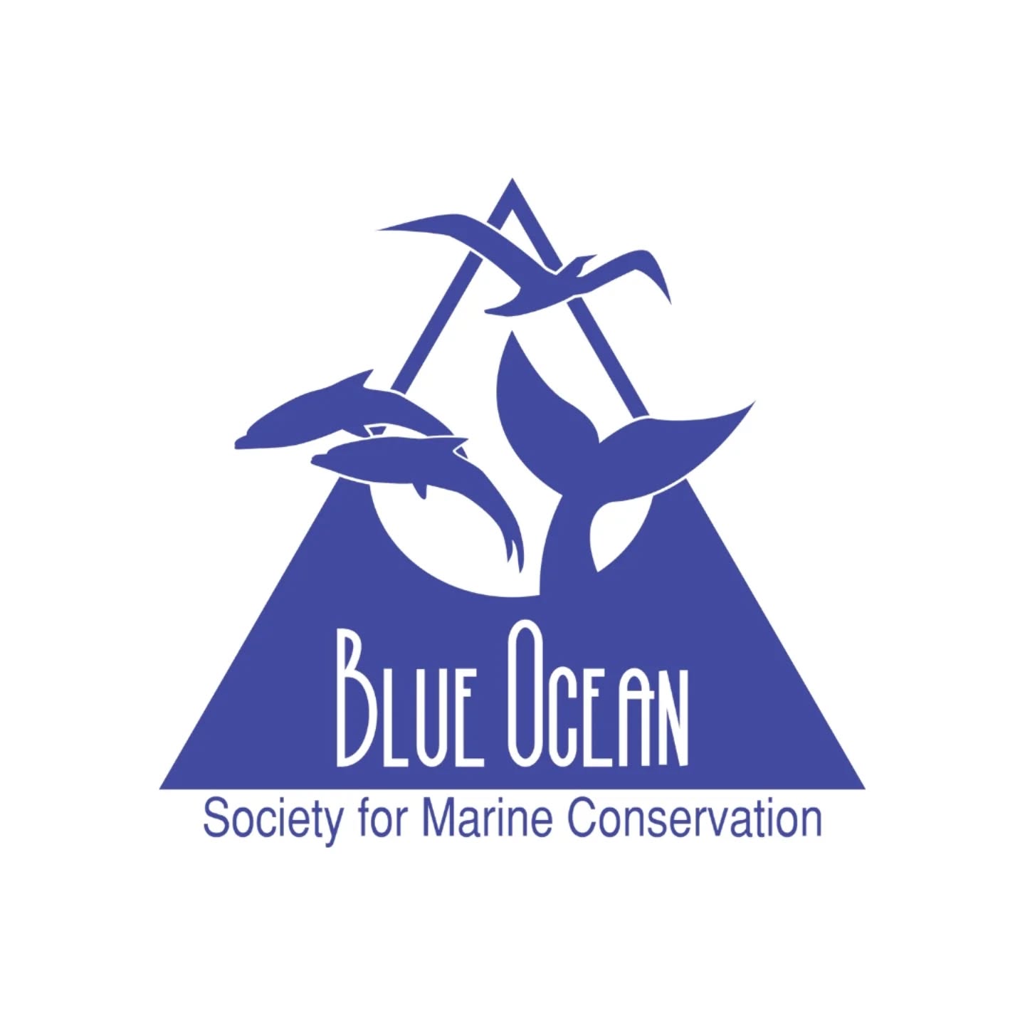 PILLAR is donating 5% of all sales from our newest show "Currents" to Blue Ocean Society @blueoceansociety
They are dedicated to marine conservation in the northeast region. They regularly host clean up days at Hampton Beach and host whale watching tours where they do research on local pods they have been tracking since the early 2000s
This exhibition focuses on the current state of our ocean with a variety of mediums exemplifying climate change, using a variety of materials and techniques to highlight the fragile beauty of marine ecosystems with pieces that include time spent in the Bahamas, Alaska, Maine, New Hampshire, and Iceland. This all encompassing show expresses the reach of these issues past our own shorelines
Please support this crucial work by purchasing art from PILLAR Gallery + Projects latest exhibition "Currents" and attending our opening reception on Sunday Feb. 23 2-5 PM
Link in bio for available works
______
#climatechange #support #marineconservation #galleryshow #oceanadventures