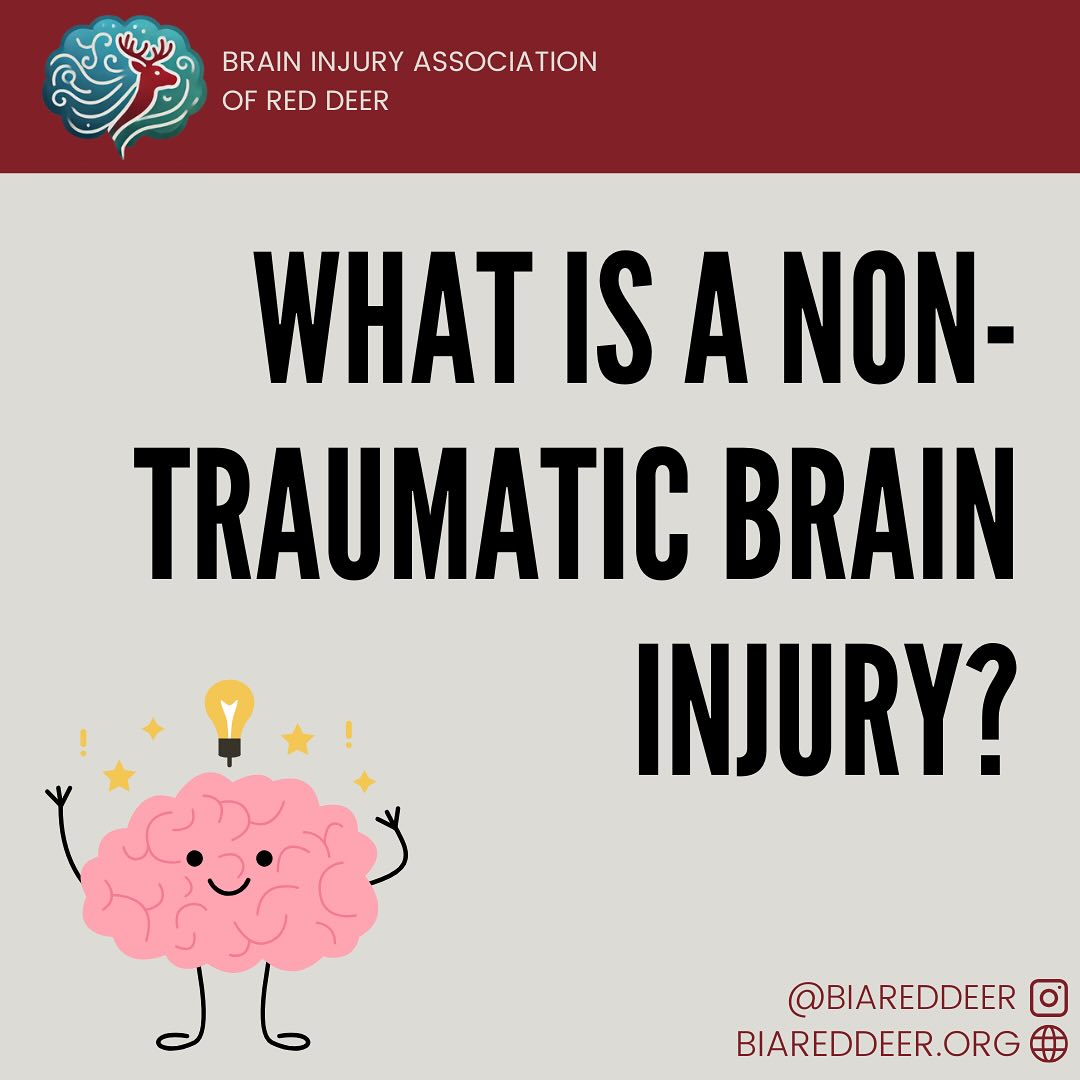 A non-traumatic brain injury or nTBI is defined as a brain injury that is caused by an internal force. This could be an event like a stroke, overdose, carbon monoxide poisoning, or brain aneurysm.
Often it takes more than 1 test to diagnose a brain injury. Doctors will take symptoms, patient history, and physical, psychological, and cognitive examinations into consideration. Doctors will often order medical imaging tests like a CT scan or MRI to help diagnose a brain injury.
Once diagnosed, different treatments and supports may be offered to help you through your journey of healing. Since each brain injury is unique, the types of supports and treatments offered will vary.
The Brain Injury Association of Red Deer wants to help you through your brain injury journey by providing 1-1 support, education, and advocacy. For more information visit us at BIARedDeer.org, message us on instagram, or send us an email: info@biareddeer.org.