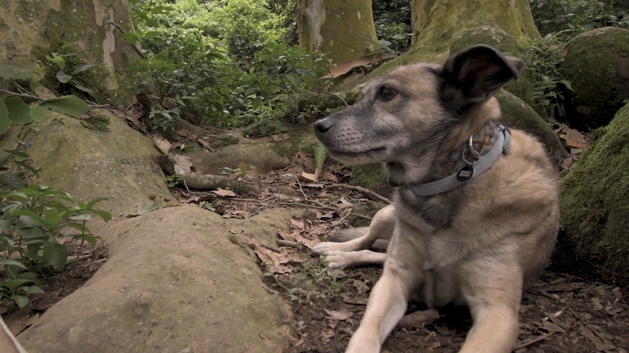 Mi amiga. Adiós, mi amiga.