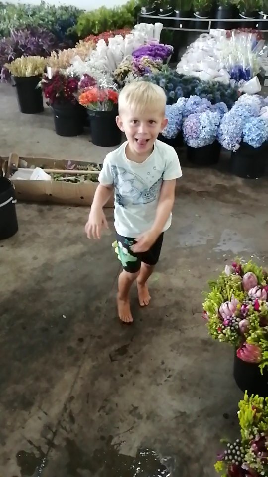 Come walk with me (and my little helper) through the flower fridge 🥰🌸
Always such fun 🤣
#kznflorist #weddingdecor #momfloristlife #weddingflowersdecor #ballitoweddings
#flowerfridge