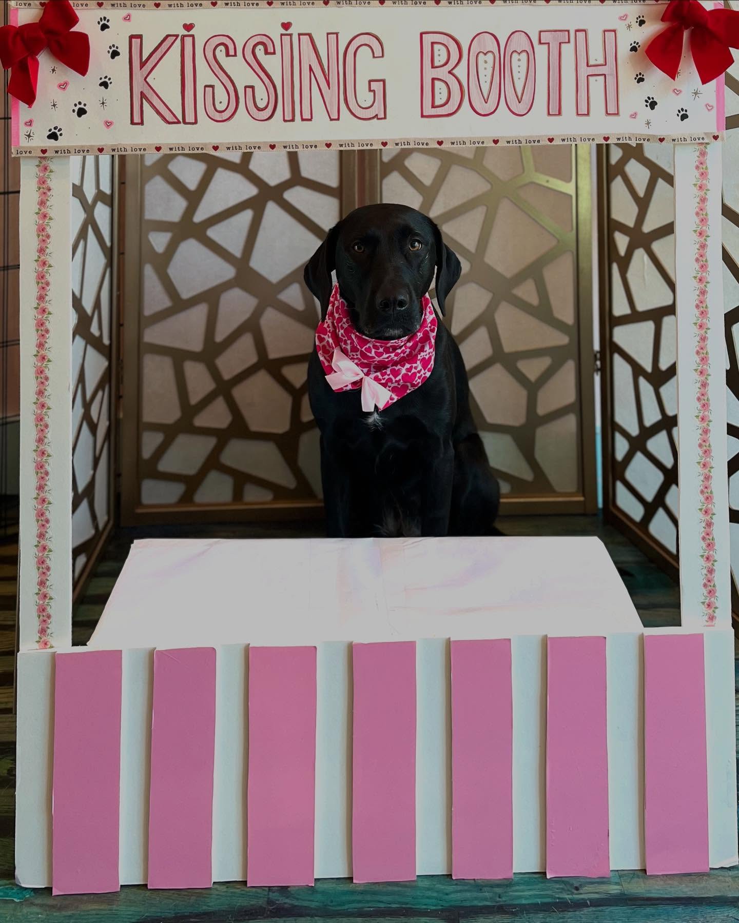 The pups had a great Valentine’s Day, full of love and kisses! 💋