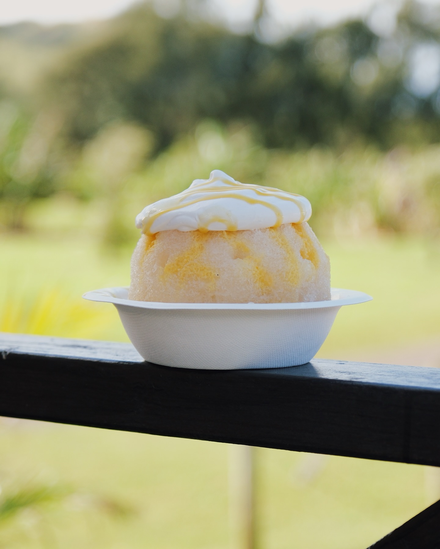 Poi n sai🤙🏽 Homemade soursop syrup, liliko’i butter, haupia cream on top of poi from @hemeaonopoicompany 🌺🍧
#poinsai #kulashaveicens #kulashaveice #kulashaveiceoahu #oahu #nsoahu #oahuns #hawaii #poi #soursop #organic #homemade