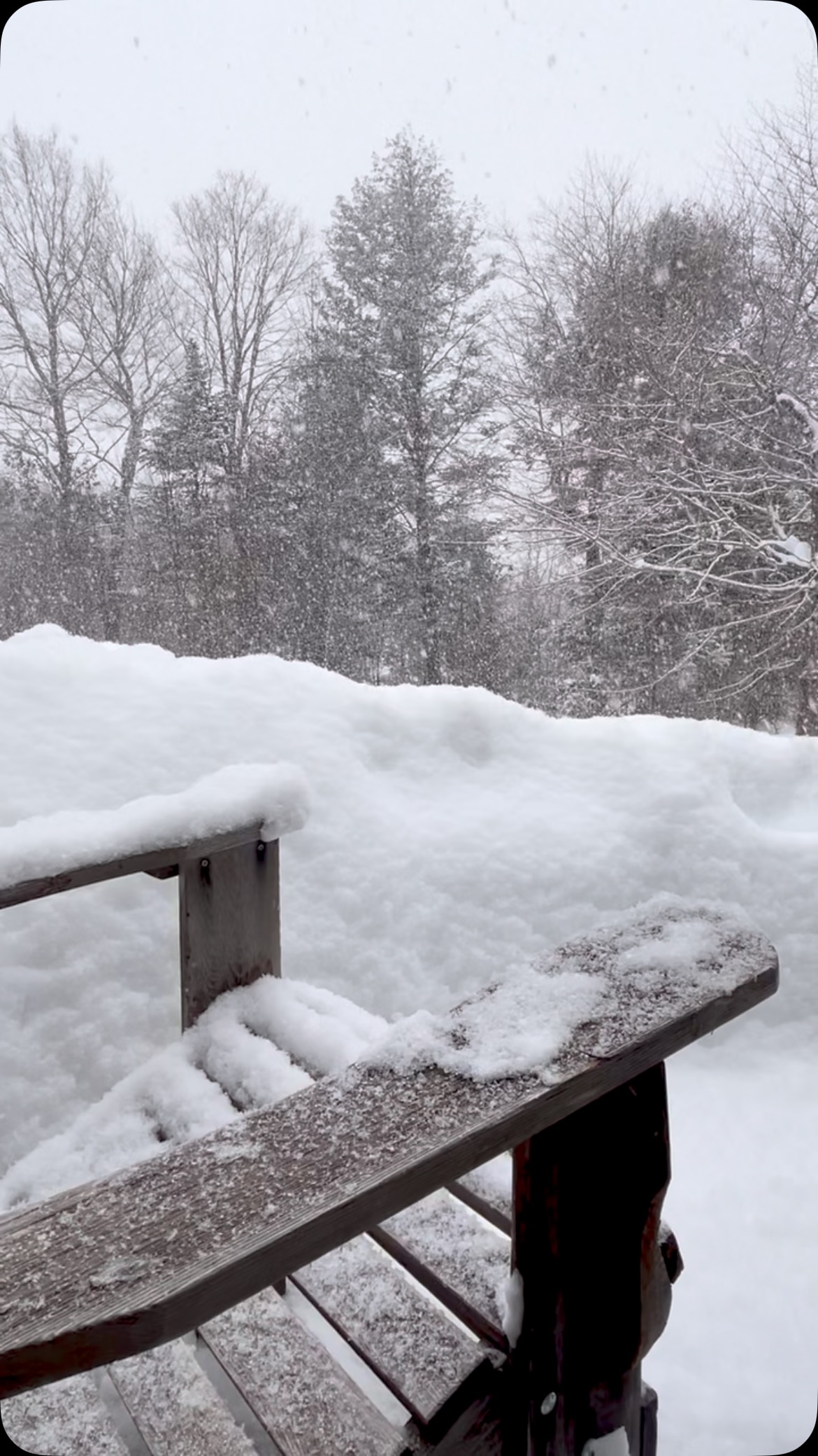 Last days in this magical glass snow ball ✨
Quebec…. I love you