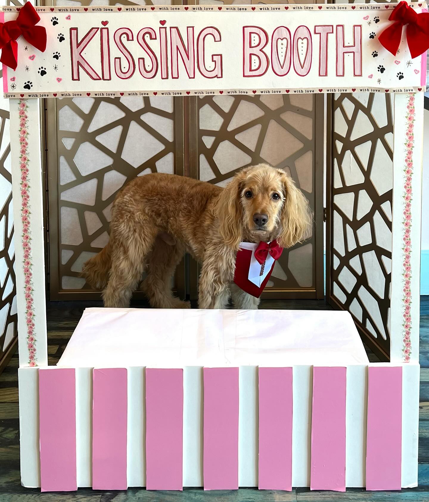 The pups had a great Valentine’s Day, full of love and kisses! 💋