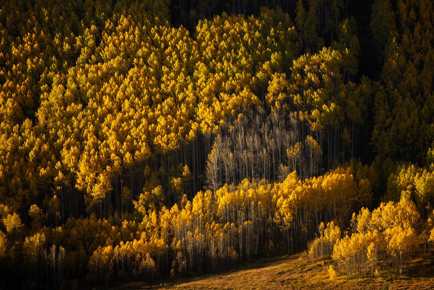 @delilaht: Can you tell me a little bit about your beginnings as an artist?
@dustyphotoboy: I started photographing when I was around 13. My grandfather was an amateur photographer, and he was a really big influence on why I picked up the camera. He always had the newest, greatest camera and the newest, biggest lens. And so I got a lot of interaction with his collection as a young kid. We’d go into the mountains and really beautiful places in the American West and just go take photographs. And that’s how I started with photography. As I became a little bit older and started to play around more with certain subjects, I decided that’s what I wanted to do as a career. So I went to New York City and attended the School of Visual Arts for photography, where I found a community of other photographers who were also very passionate about what they were doing. I felt like I had found my place in the world.
Check out Dustin’s work in Issue No. 24 of Pearl Press at pearl-press.com/dustinrandallkeirns
-
#pearlpress