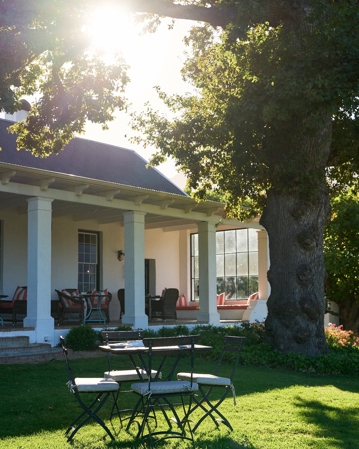 Good morning!
What a glorious morning it is! Wishing everyone a wonderful week ahead.
📷 La Cotte Farm Restaurant
.
.
.
#lacotte #lacottefarm
#franschhoek #franschhoeklife
#goodmorning #morning #sunrise