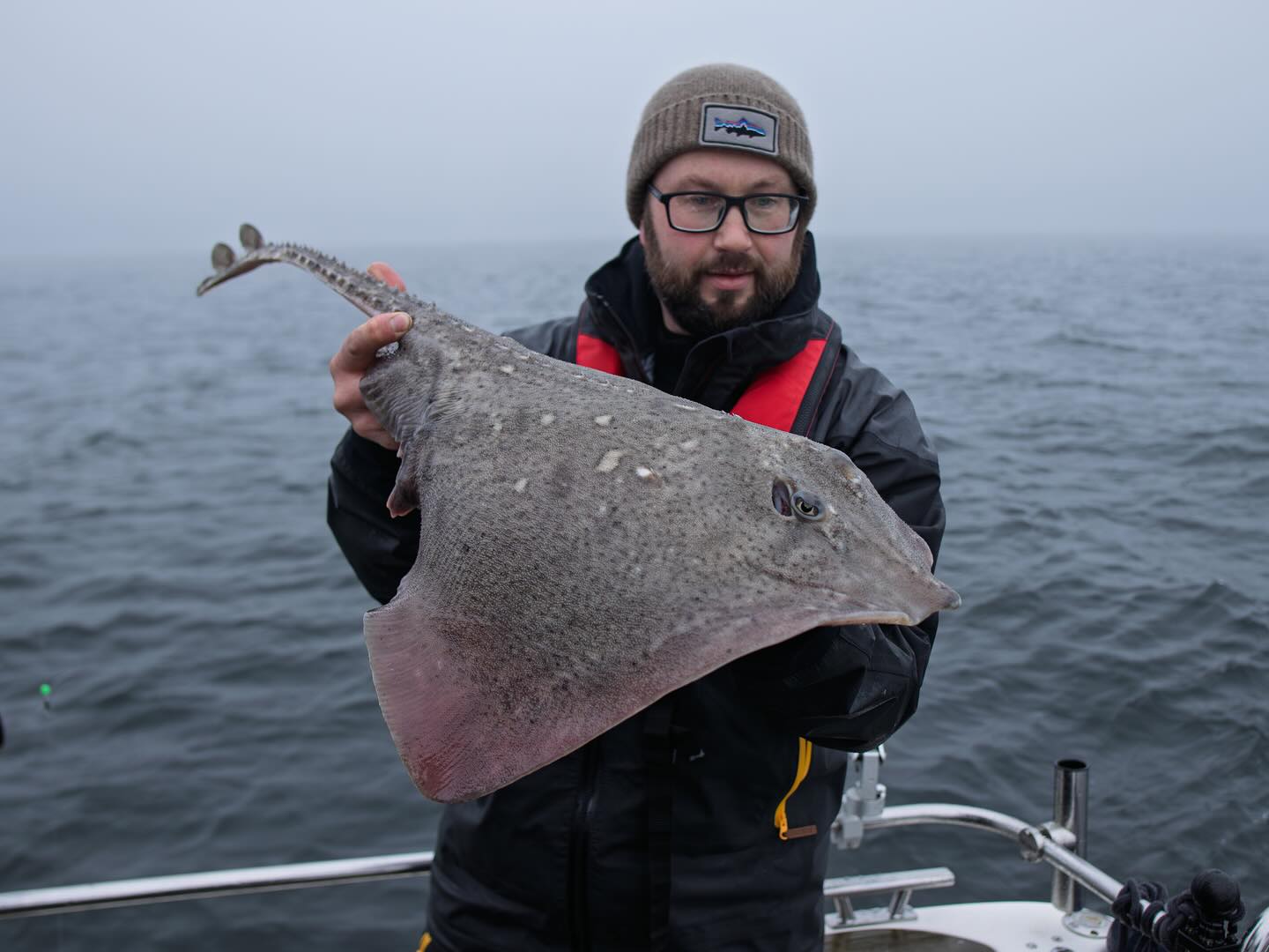 Some pictures from the last week, thornback rays and spiny dogfish! 😀🎣
.
.
.
#saltwaterfishing #seafishing #oslofjorden #havfiske #havfiskern2025 #minnkota #minnkotamotors #humminbird #comstedt #thornbackray #spinydogfish #piggskate #pigghå