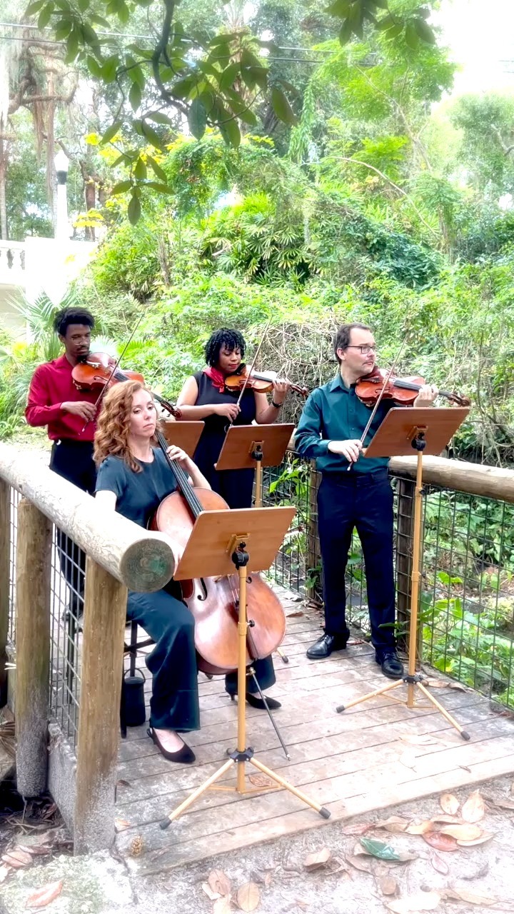 Tag a Swiftie who needs this in their life! 💫 #TaylorSwift #WildestDreams #StringQuartet #ClassicalCovers #WeddingQuartet #WeddingStringQuartet