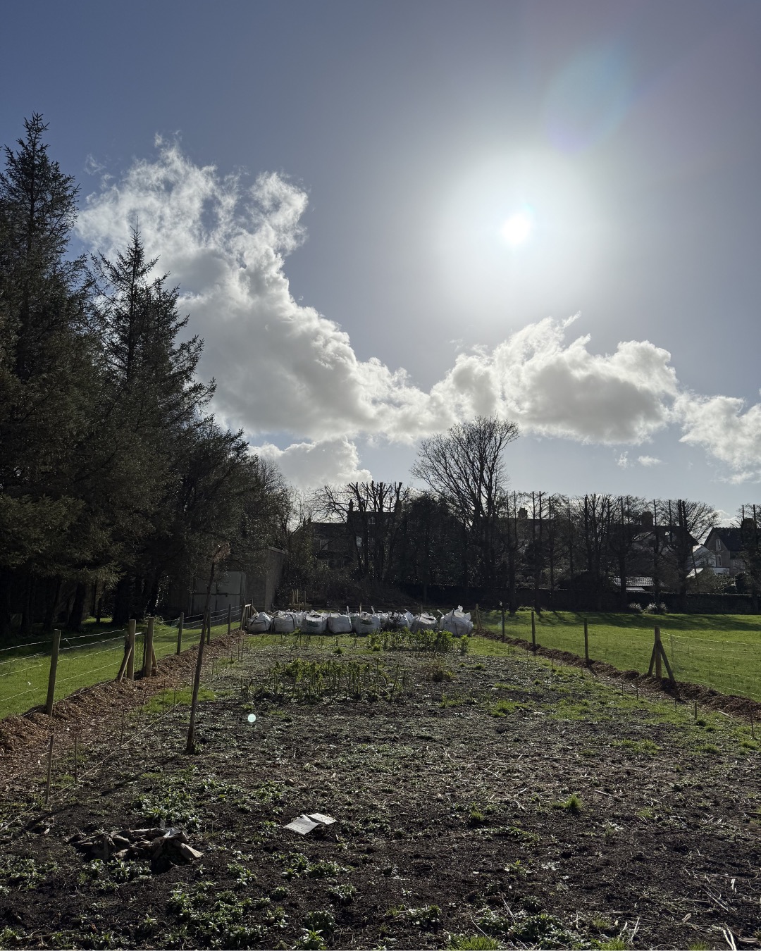 After a long journey of hard work, dedication, and with the amazing help of our lovely volunteers, we’ve made an incredible transformation to our garden! 🌿💪 With a special shoutout to our game-changer, the rototiller, we’ve cleaned, divided, and prepped the space—now it’s all set for the next big step: building our garden beds! Can’t wait to see how this space evolves. Stay tuned! 🌱 #GardenJourney #VolunteersRock #HardWorkPaysOff #TransformationInProgress #corkmigrantcentre #nanonagleplace #cork #garden #gardening #ireland #gardeninglife #gardeninspiration