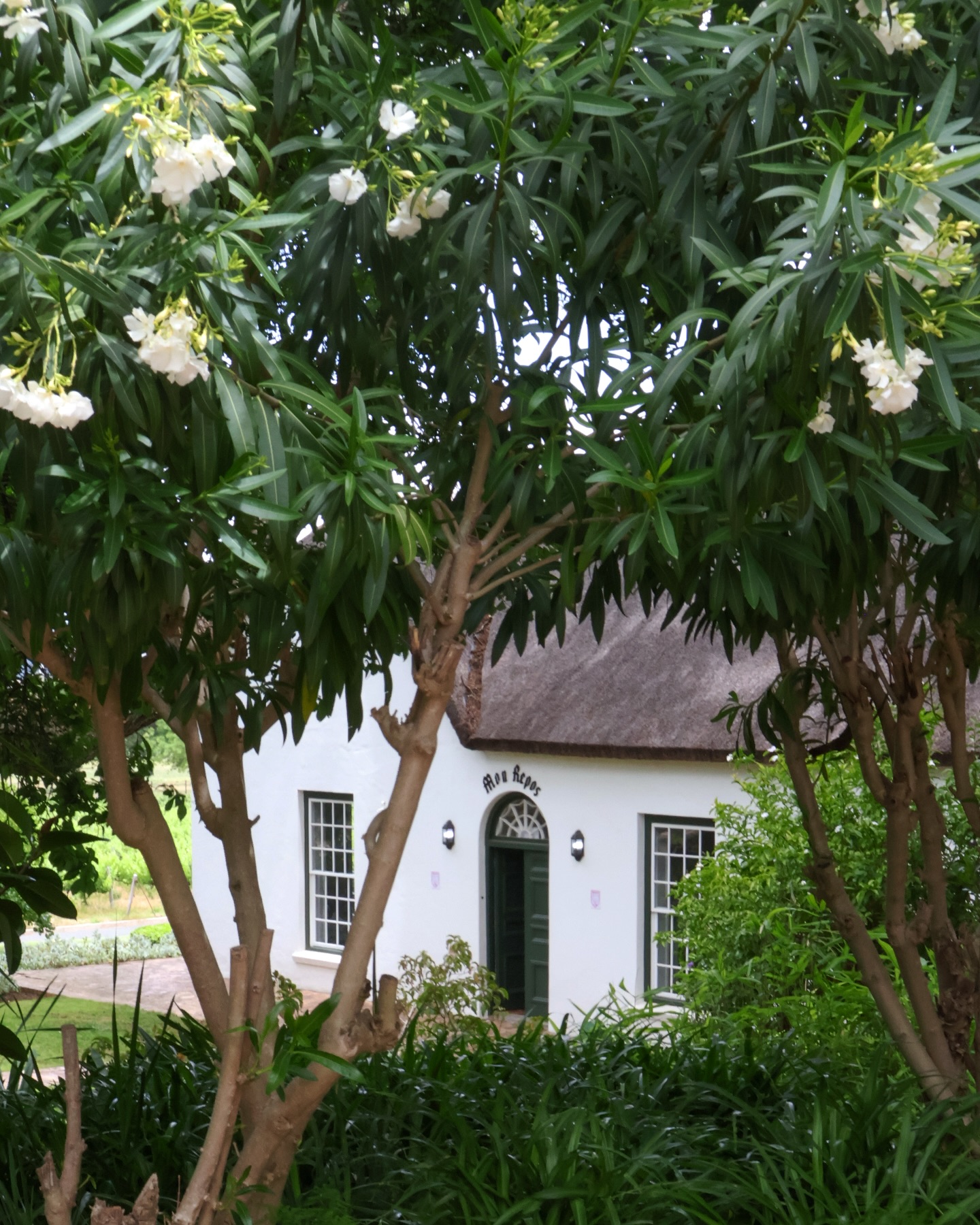 Due to Stage 6 load shedding, we’re unable to open at Oude Libertas today. With many of our installations relying on AV and WiFi, it just isn’t feasible. We’re sorry for any inconvenience and appreciate your understanding. Stay safe!