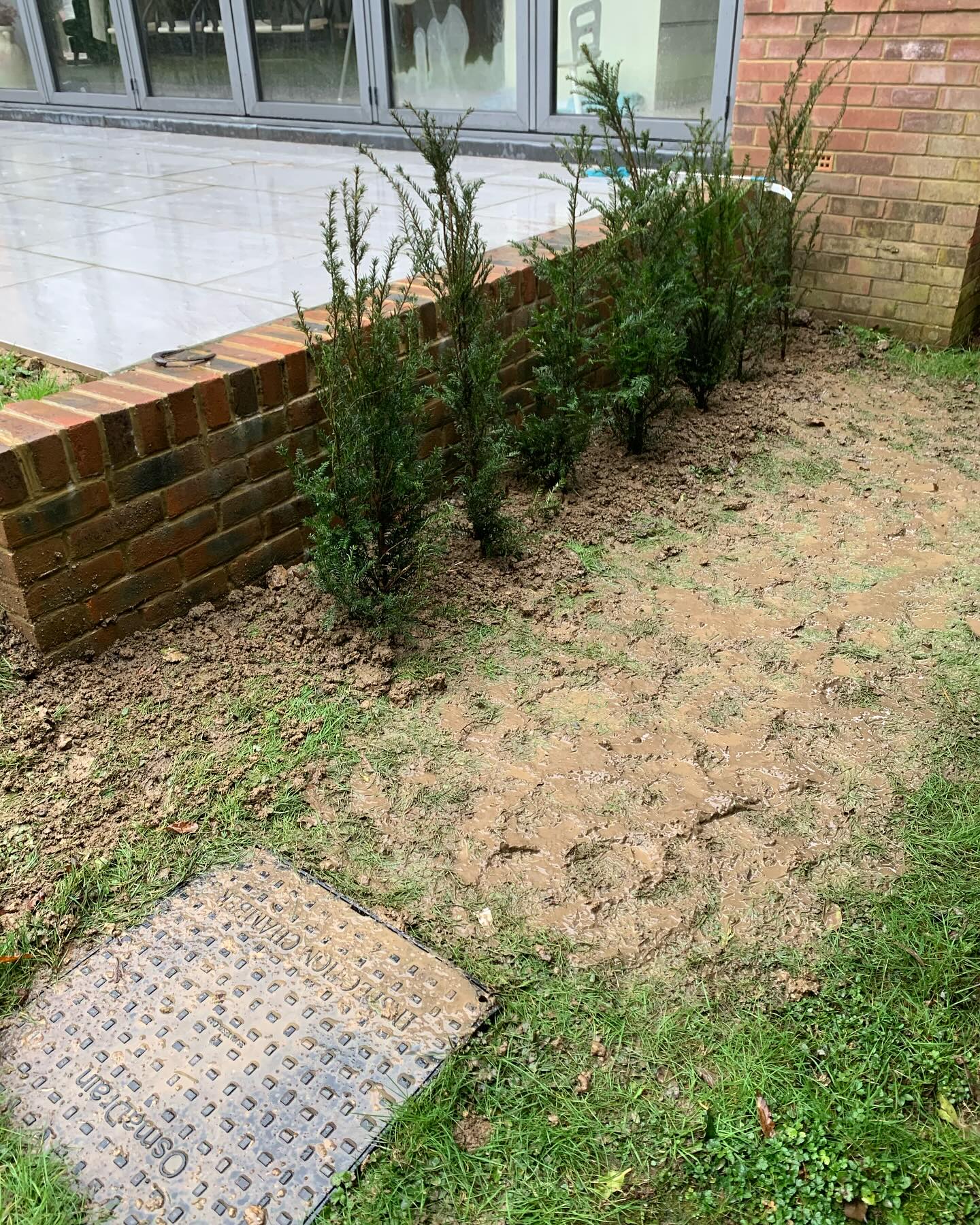 A bit of a wet day for digging, but these bare root English Yews needed to be planted. They’ll form a nice hedge to create an end to the new patio.
#highamwoodgardens #gardenertonbridge #gardeningtonbridge #plantloversofinstagram #pollinatorgarden #gardening #gardensofinstagram #englishgardens #plantlife #gardenborder #garden #gardenideas #yew #newhedge