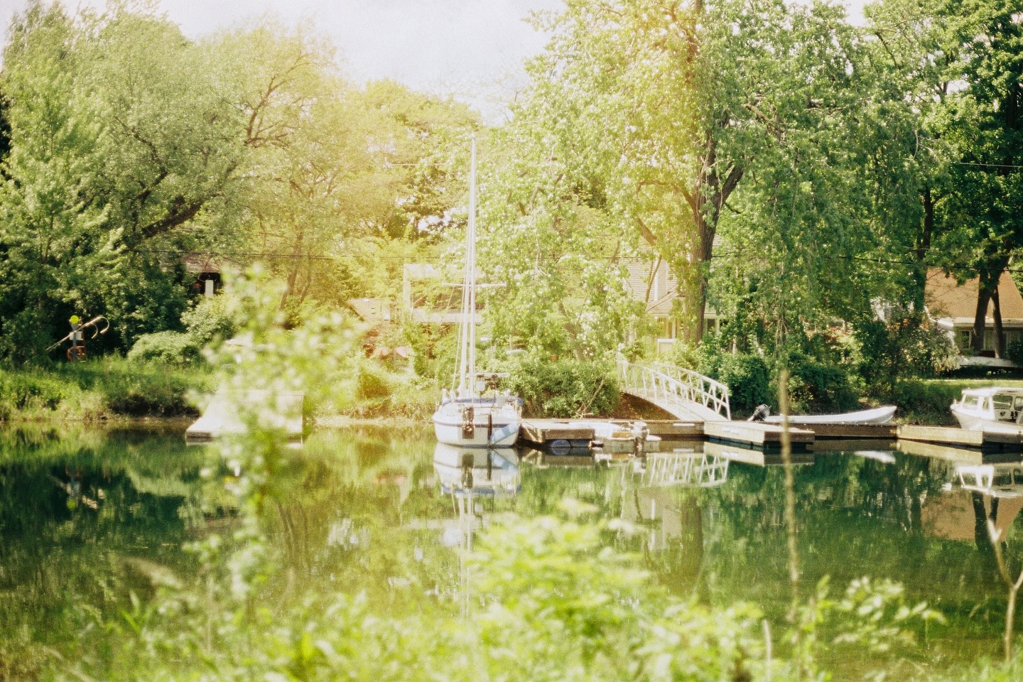 Toronto Island🏝️ These are the last film photos I took in Toronto last year.
#toronto #torontoisland #canonae1 #kodak #kodakgold