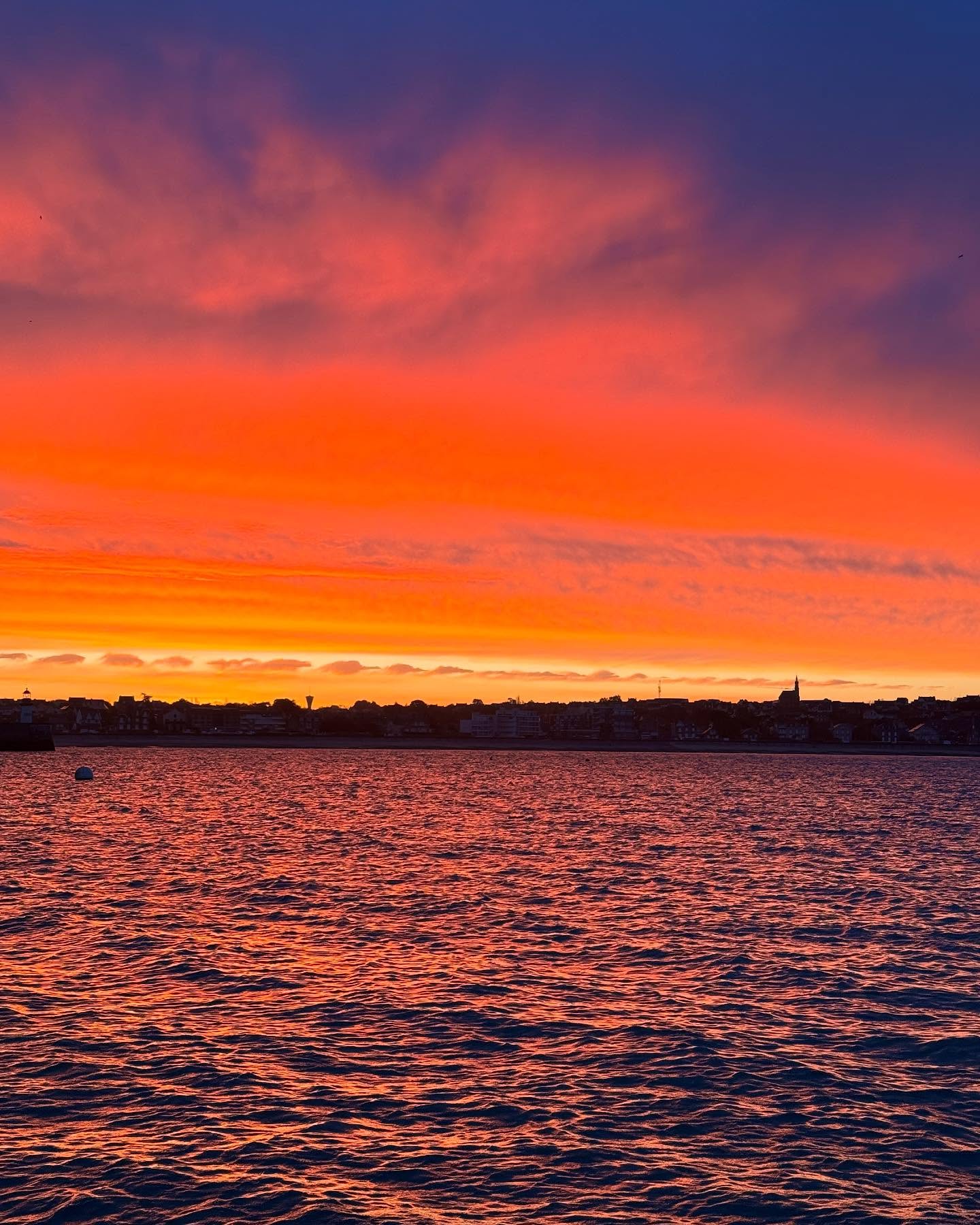 Quelle chance de voir ses couleurs en revenant des filets à araignées 😍
#providence #araigneesdemer #araignees #poisson #fish #local #ultrafrais #coquillessaintjacques #coquillesstjacques
#venteendirectdupecheur #femmemarinpecheur
#erquy #erquytourisme #bretagne
#bretagnetourisme #mydinancapfrehel #bretagneforever #pourdebon #expedition #24h