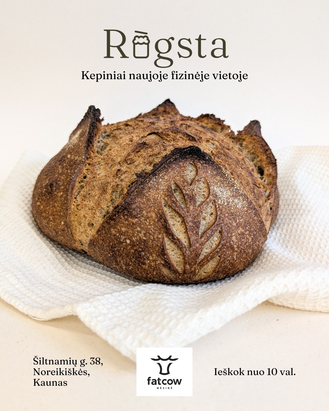 Jūs nubalsavote ir mums pavyko tai paversti realybe! 🎉
Nuo šio savaitgalio Rūgsta kepinius bus galima įsigyti naujoje fizinėje vietoje - @fatcow.lt - mūsų draugų parduotuvėje 🐮
Užsuk ir pasičiupk tik ką šviežiai iškeptos klasikinio ar išskirtiniu skoniu pripildytos duonos, raugo bandelių, o gal cinamoninės babkos ar kito saldaus natūralaus raugo kepinio (asortimentas bus kintantis)🤤
Susimatome jau šį šeštadienį (kovo 1 d.), adresu: Šiltnamių g. 38, Noreikiškės, Kaunas. 📍
🍞 nuo 10:00 val. tavęs lauks duonos;
🍪 nuo 13:00 val. - kiti kepiniai.