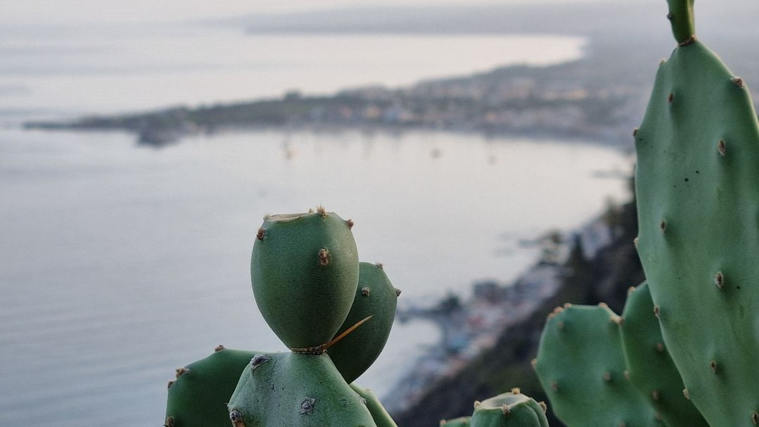 Experience the ultimate Sicilian getaway in a luxurious villa with Your Escape - where elegance, comfort, and breathtaking Mediterranean views come together for an unforgettable stay!
#YourEscapeInSicily #LuxuryEscapeSicily#ExclusiveSicily #MediterraneanEscape #SeaViewSicily BeachfrontLuxury#LuxuryVillaSicily #PrivateVillaEscape #SicilyLuxuryStay
#SicilyExperience #SicilianCharm #SicilianLuxury#ExclusiveSicilyVillas #PrivateVillaSicily