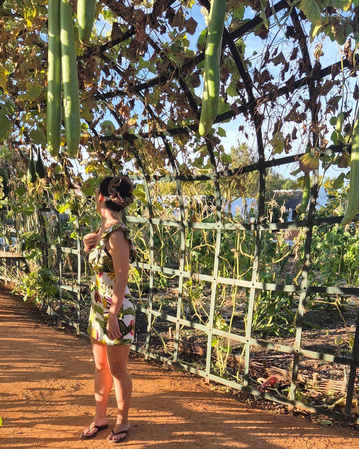 @babylonstoren most beautiful garden and the farm to fork dining nom nom nom โฅ๏ธ๐ฟ๐ฆ