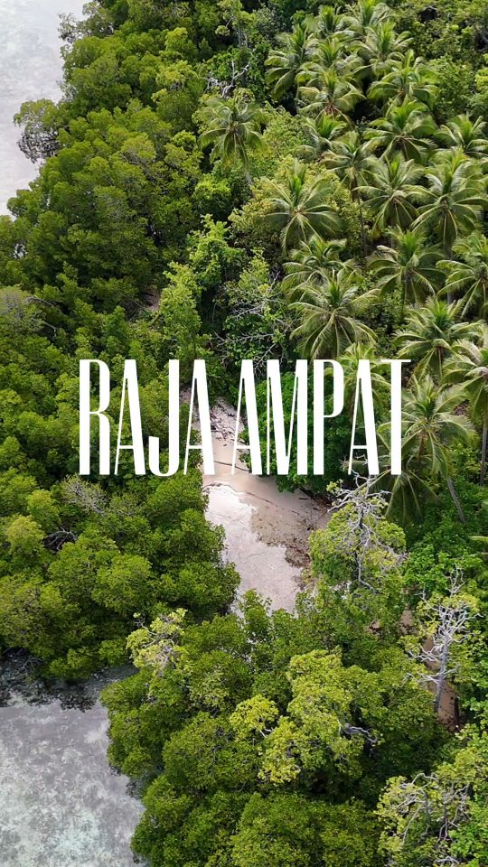 Raja Ampat – Where the Ocean Comes Alive
Tucked away in the far reaches of Indonesia, Raja Ampat is a world untouched—where towering limestone cliffs meet impossibly clear waters, and the reefs pulse with more life than anywhere else on Earth. This remote paradise is home to the richest marine biodiversity on the planet, secret lagoons hidden between jungle-covered islands, and waters so vibrant they barely seem real.
Whether you’re drifting over coral gardens or sailing between karst formations, every moment here feels like stepping into a dream.
#RajaAmpat #IndonesiaTravel #OceanParadise #ScubaDiving #LiveaboardLife #emperorharmoni