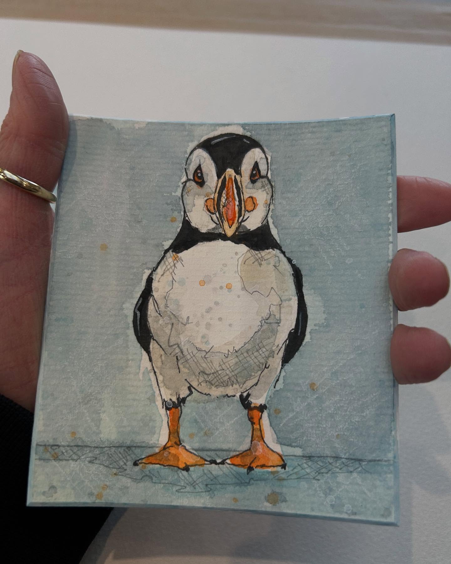A little mini original Puffin watercolour study on board .. will be hopping onto my website soon … 👀