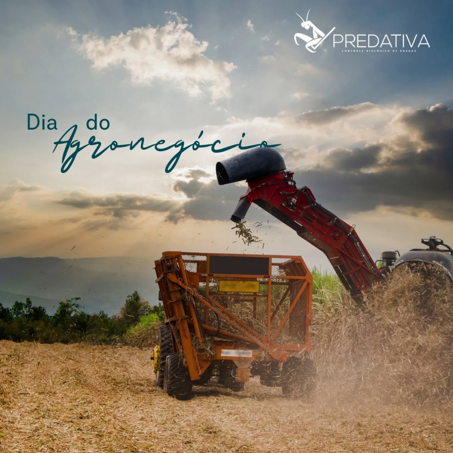 O Agronegócio vai muito além da simples produção de alimentos. Esse setor engloba ciência, pesquisa e tecnologia, armazenagem e distribuição até a mesa do consumidor. Isso sem contar setores como o de fibras e energia. É por isso que o Agronegócio é tão gigante!
Só para citar um exemplo, o Brasil está hoje entre os países que mais produzem soja, café, algodão, milho, açúcar e carnes.
Em 2023, a participação do Agronegócio no PIB brasileiro representou 23,%, ou seja, R$ 1 a cada R$4 produzidos no Brasil. E 49% das exportações brasileiras são do Agronegócio, o que gera ao país em torno de US$ 340 bilhões.
Nós, assim como o Agronegócio, só temos a comemorar! A solução desenvolvida pela Predativa estimula sistemas sustentáveis de produção e práticas agrícolas resilientes, cada vez mais fundamentais para o crescimento da economia e a manutenção dos ecossistemas.
A produção on farm de agentes macrobiológicos para combate de pragas ajuda a fortalecer a capacidade de adaptação às mudanças do clima, e a preservar água e a qualidade do solo.
Viva o Agronegócio e tudo o que ele promete para o futuro!
#agronegocio #diadoagronegócio #predativa