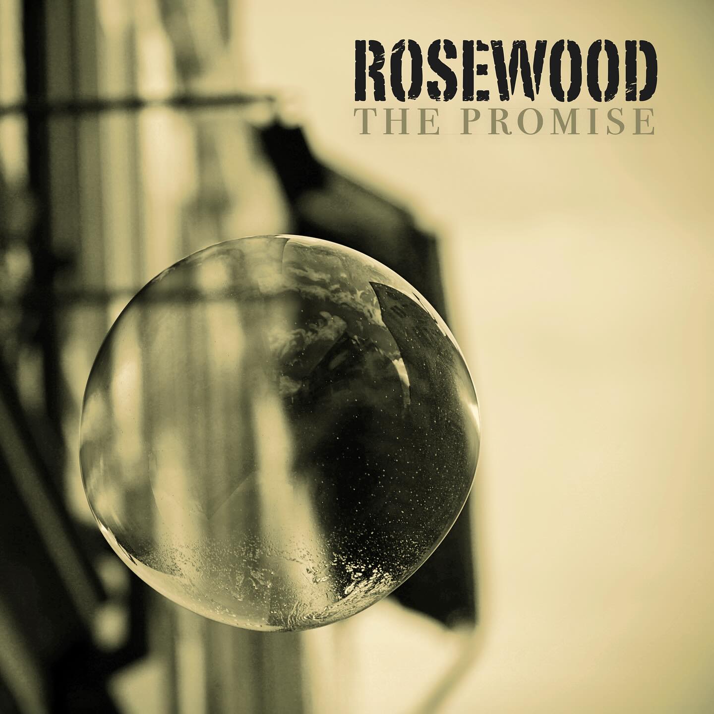 🫧 New Music In 1 Week 🫧
We can hardly wait to share our new song „The Promise“ with you!
📆 So mark your calenders and set your reminders to March 7
Pic: @southmarianophotography
Cover: Susanne Gmür
Studio: @soundfarm_studios / @jencarelli
Producer: @tobigmuer
•
#lifeisgoodwithrosewood #musicfromswitzerland #country #americana #seasons #thepromise #lovesongs❤️