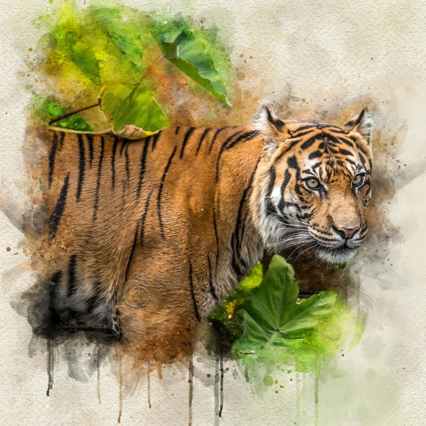 The best hiding spots are not the most hidden; they're merely the least searched.
.
.
.
.
.
.
.
.
.
.
.
.
.
#pixelpurrrfectphotography #exquisitepics20_australia #rebel_artandedits #mcl_arts #illustrious_art #artistry_flair #super_photoeditz #edit_lovers_united #wildlife_artistry #Creative_AnimalArt #bpa_arts #photo_creation_silver #rebels_nature #rebels_united #explore_wildlife #wonderland_arts #art_andfact #galleria_of_grace #illustrious_magic #dreamland_arts_of_nature #rawedit_ #exquisitepics20_animals #wildlife_artists #everything_animals #nature_perfection #everything_imaginable #gf_edits #pictasart