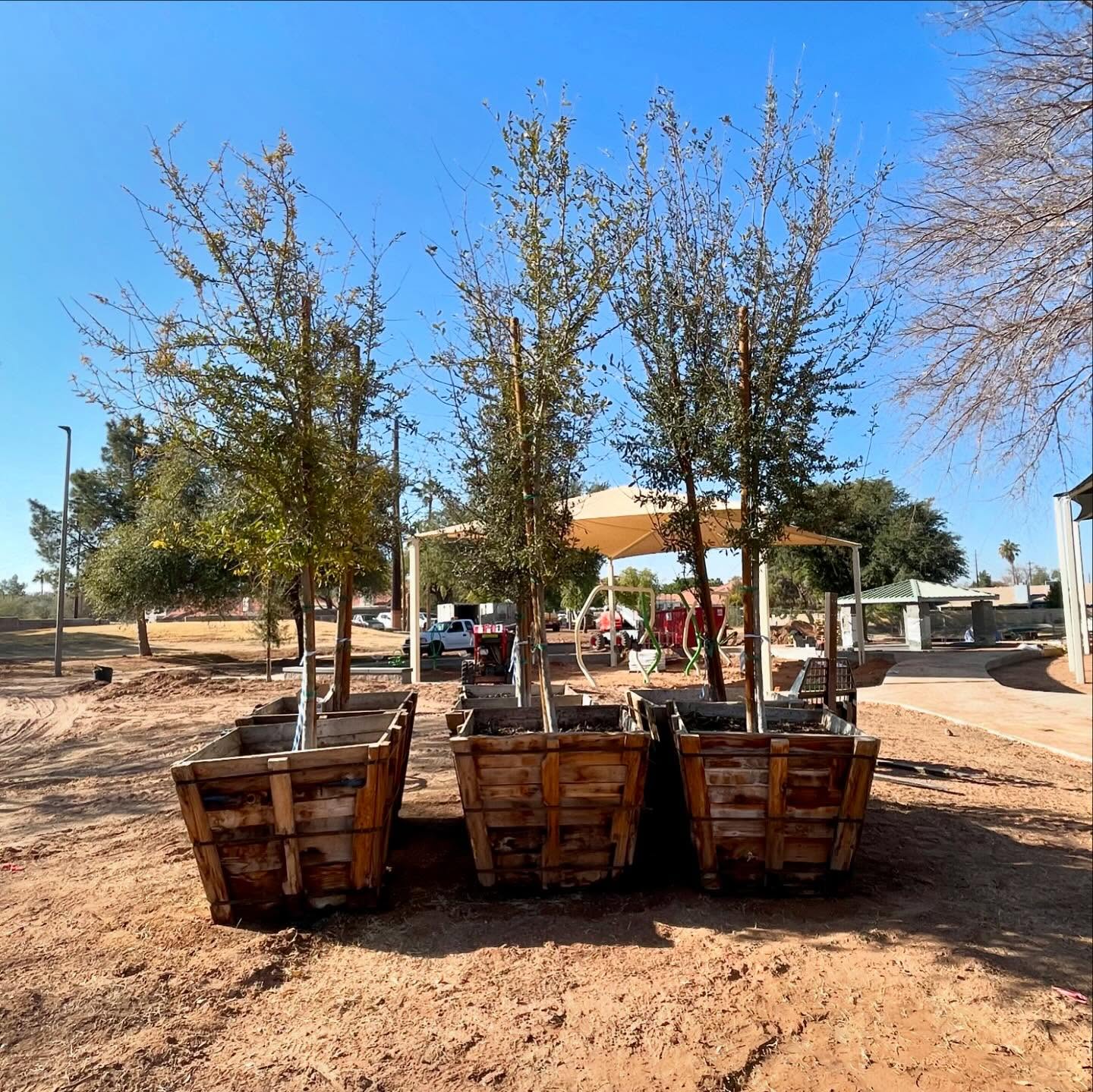 Job: Brooks Crossing Park
🌿🏗️ THE STARTING POINT🏗️🌿
Every beautiful landscape begins with a blank canvas. Before we install irrigation, granite, plants, trees, shrubs and turf, the area often looks bare and unfinished. Proper planning is key- grading the soil, mapping out irrigation and selecting the right plants for long-term health and beauty.
Stay tuned to see how we transform this space into a thriving, well designed landscape! 🌳✨
.
.
.
#beforeandafter #landacape #installationart #azlandscape