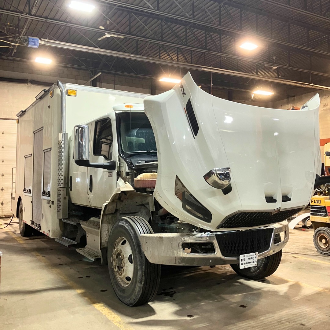 Let's see what's in the shop today😎