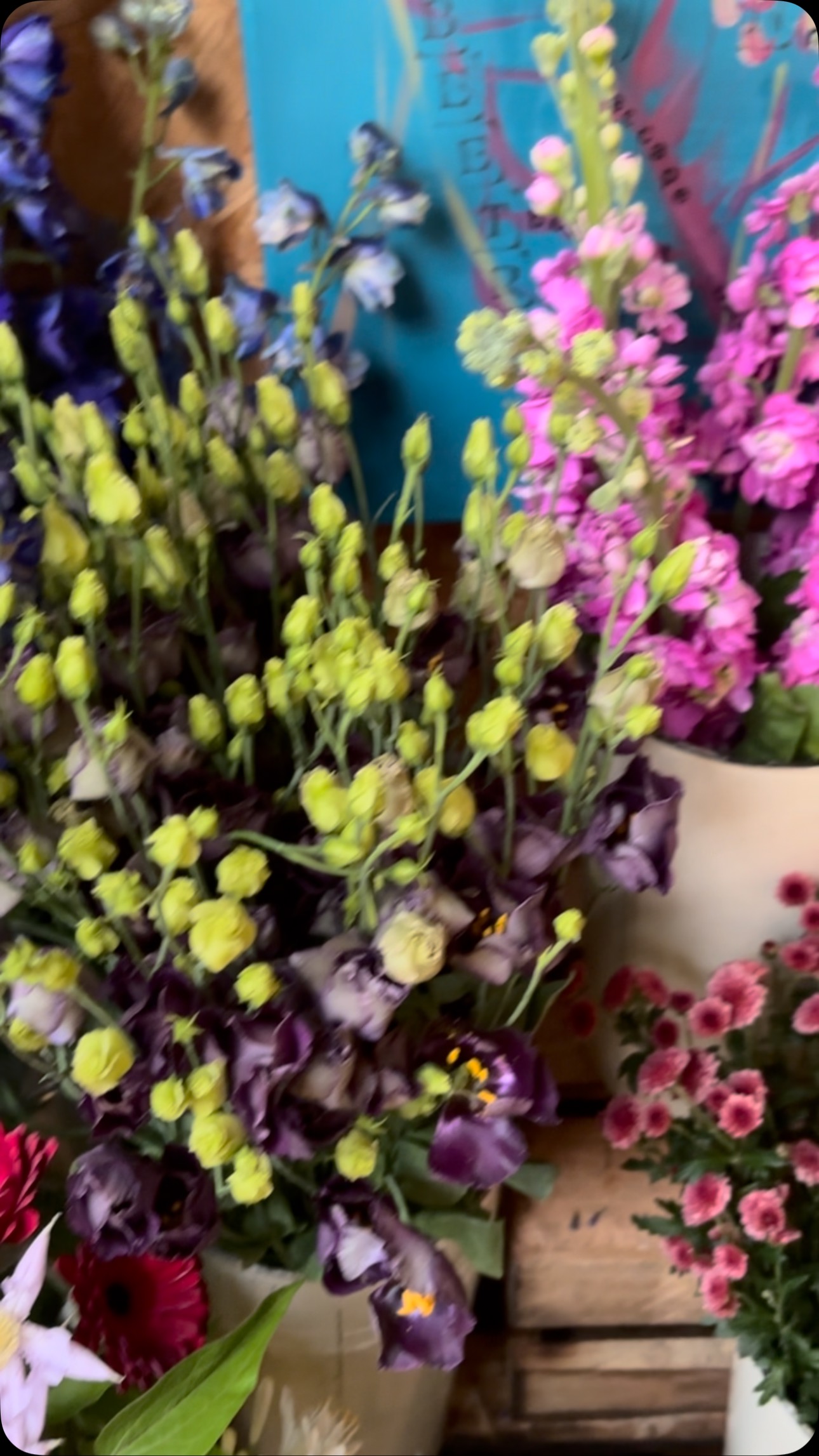 If we can’t see the sun ☀️ outside, we can bring some sunshine in with beautiful fresh spring flowers 🌷 the mimosa is giving me life
Drop me a message if you would like a bouquet of sunshine dropped to your door.
www.flowersnug.co.uk