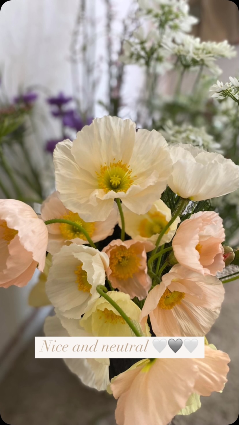 Flowers for a nice and neutral colour palette - all the palest of pale shades including Icelandic poppies, achillea, dahlias, zinnias and silene blushing lanterns 🤍🩶🤍