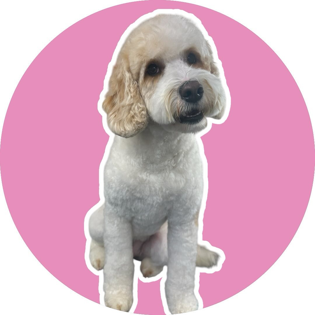 Welcome to the FMG pack Rayla 💗