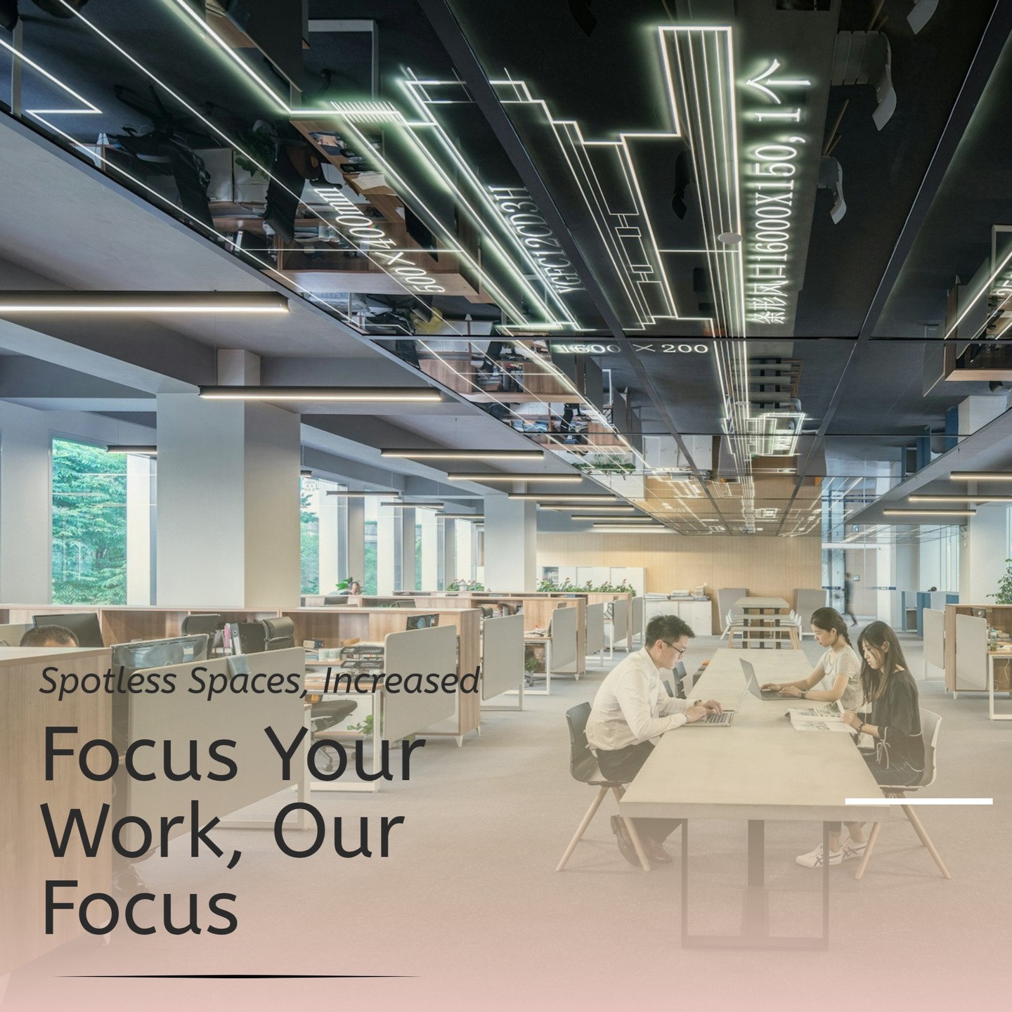 A clean office boosts productivity by reducing distractions and promoting focus. 🧹✨ Research shows employees are more motivated in tidy spaces, leading to improved morale and job satisfaction.
Moreover, a professional cleaning service ensures thorough sanitization, reducing the spread of germs and illnesses. 🦠 This means fewer sick days and happier, healthier employees!
An inviting environment also impresses clients and visitors, enhancing your business's image. 🌟 Investing in professional office cleaning is not just about aesthetics; it’s a strategic move for success and wellbeing in the workplace.
#EileenCleaning
#Officecleaningmelbourne #officecleaningcompany
#commerciacleaningmelbourne
#brisbanecommercialcleaning
#officecleaningbrisbane