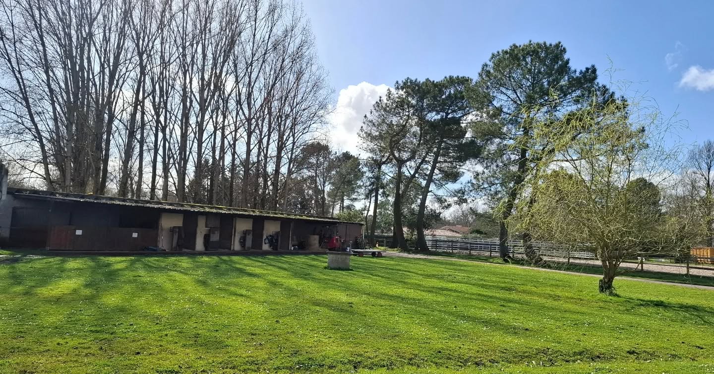 #nofilter cet après-midi ! À vous de jouer !? Vous nous envoyez votre plus belle photo de votre passage aux écuries ?! #cheval #équitation #horsemanship #horse #equitationbienveillante