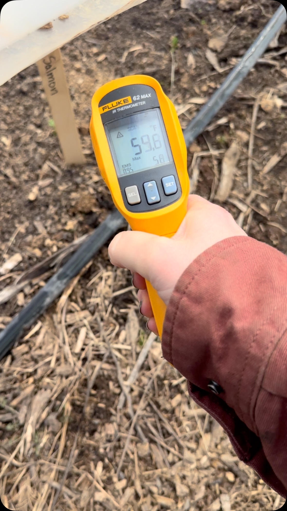 Low cat. tunnel temp check!!! We got up to 50 degrees F today so I went out to vent the tunnels. Always blows my mind how effective these things are.
#flowerfarm #blooms #ranunculus